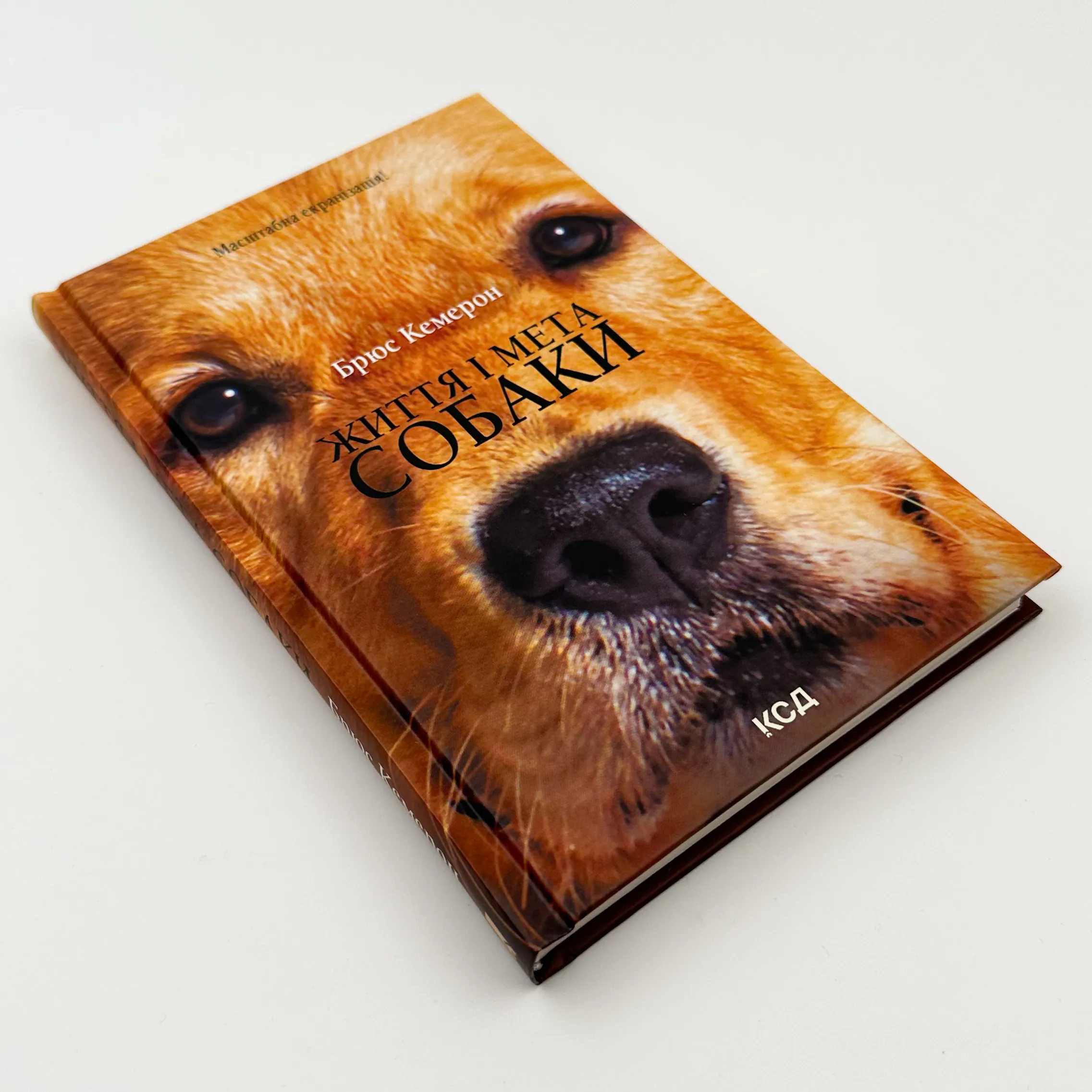 Життя і мета собаки