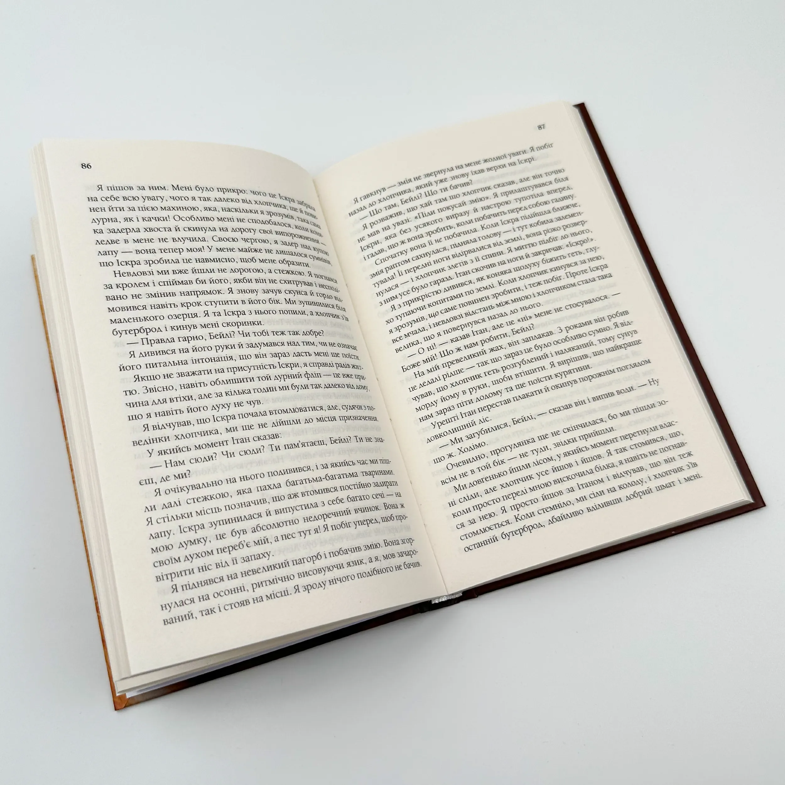 Життя і мета собаки. Автор — Брюс Кемерон. 