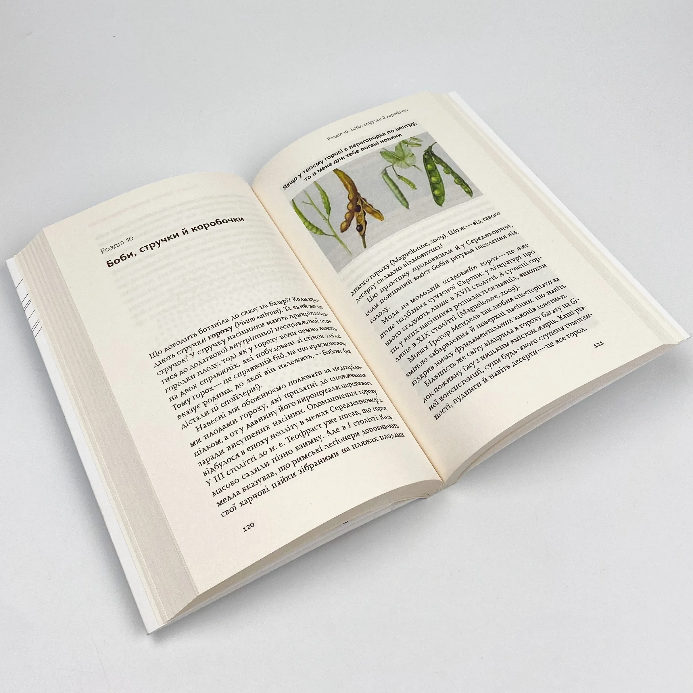 Фрукти проти овочів. Чому кавун — не ягода, а томат — це фрукт. Автор — Алексей Коваленко. 