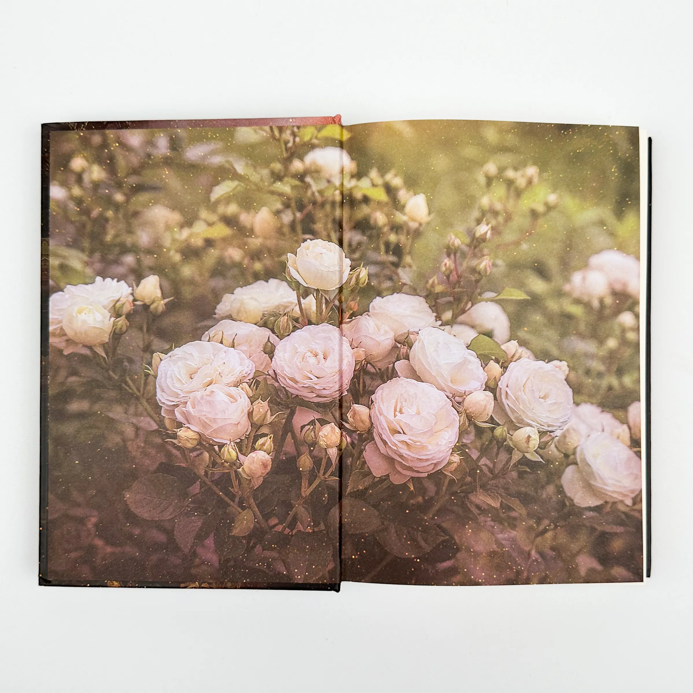 Єлизавета Йоркська. Остання Біла троянда. Автор — Елісон Вейр. 