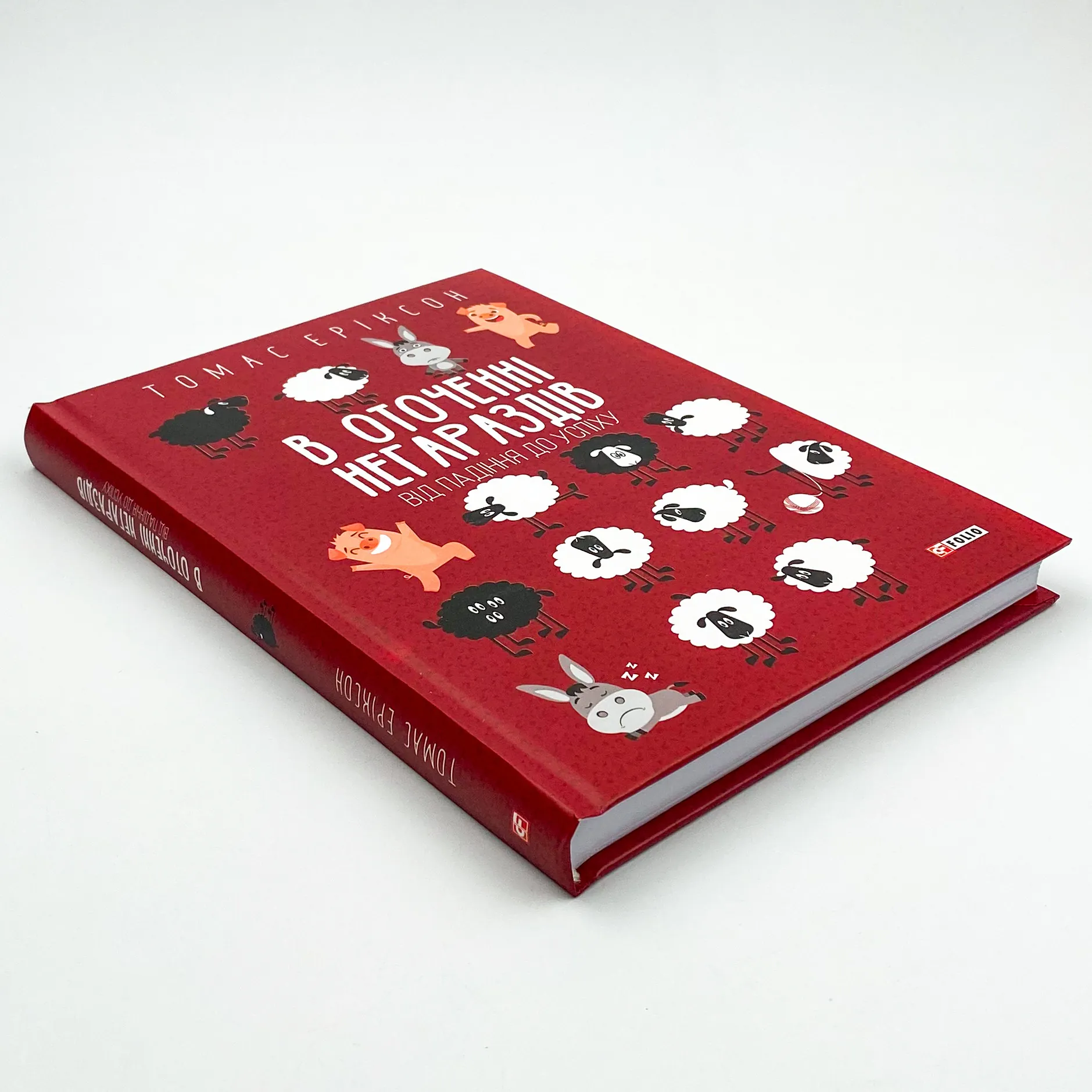 В оточенні негараздів. Від падіння до успіху