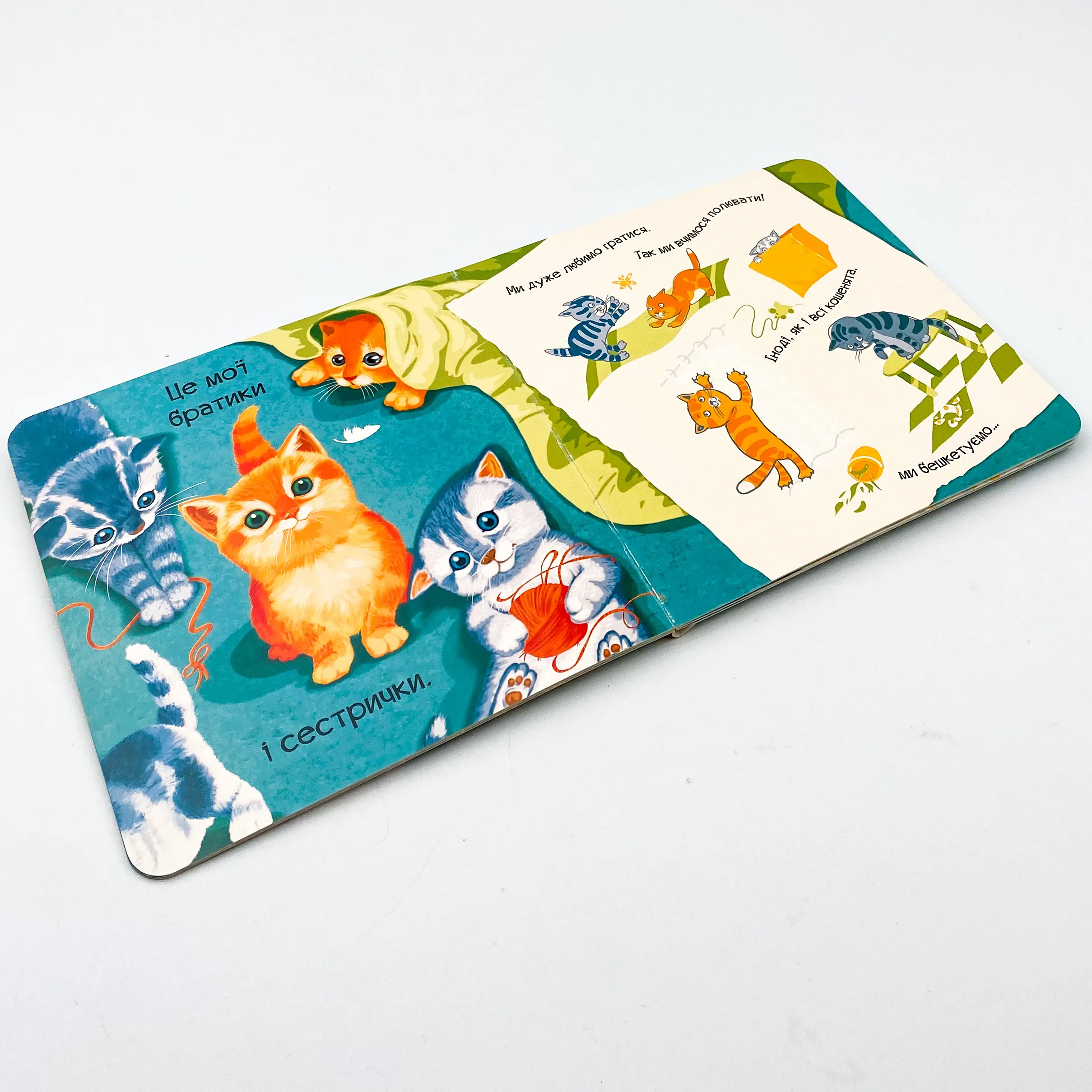 Знайомся, я кошеня. Автор — Жученко Марія. 