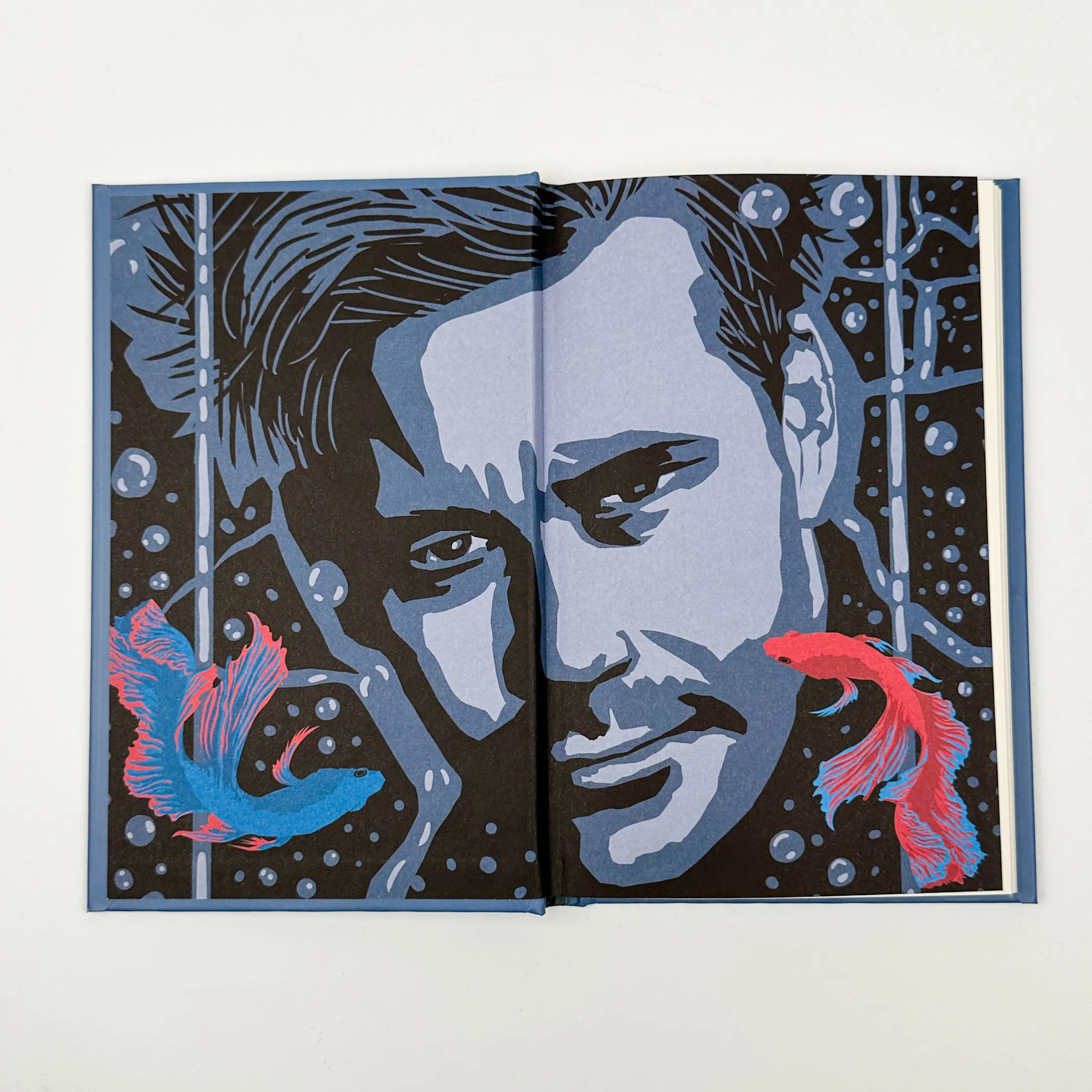 Бійцівська рибка. Автор — С. Е. Гінтон. 