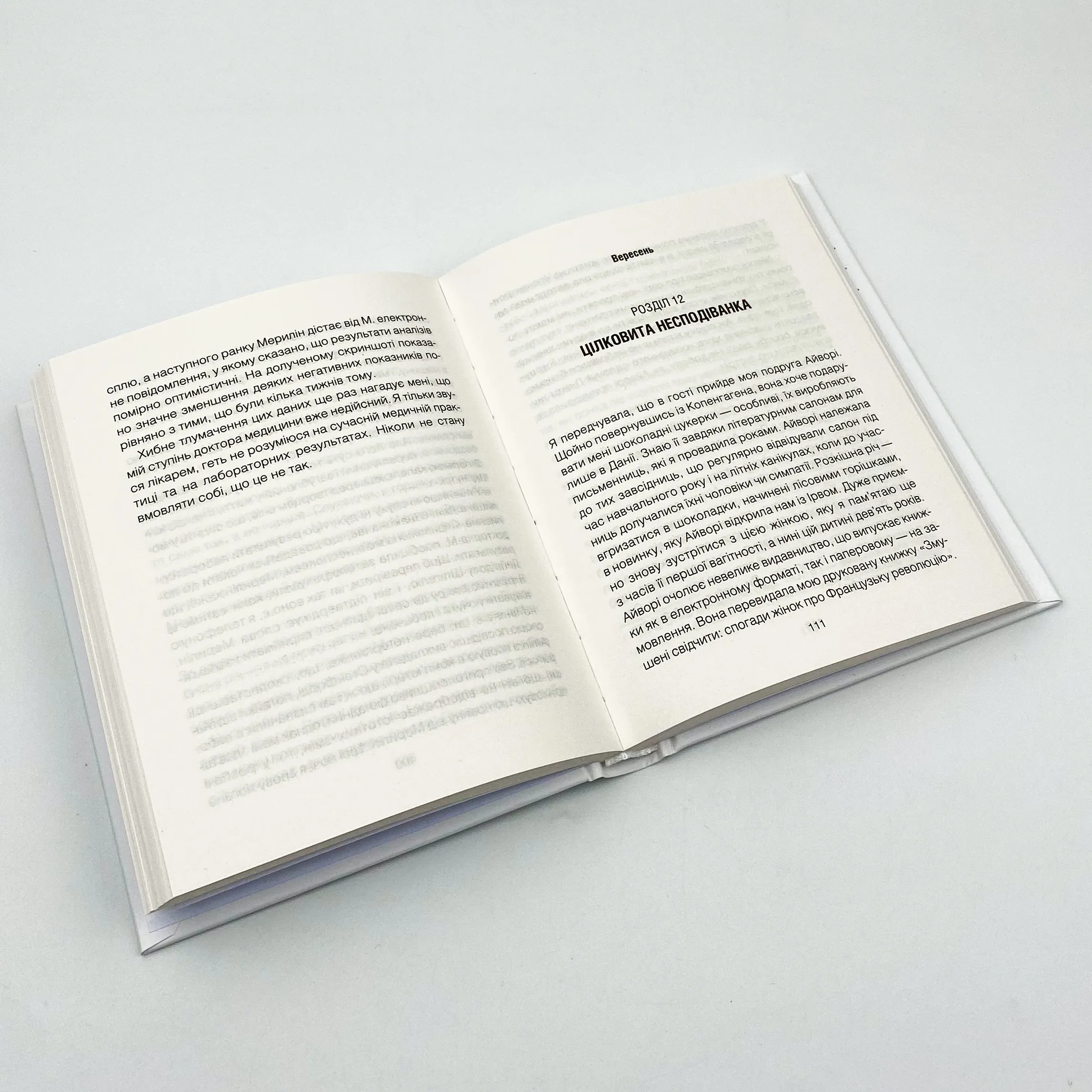 Питання життя і смерті. Автор — Ирвин Ялом. 