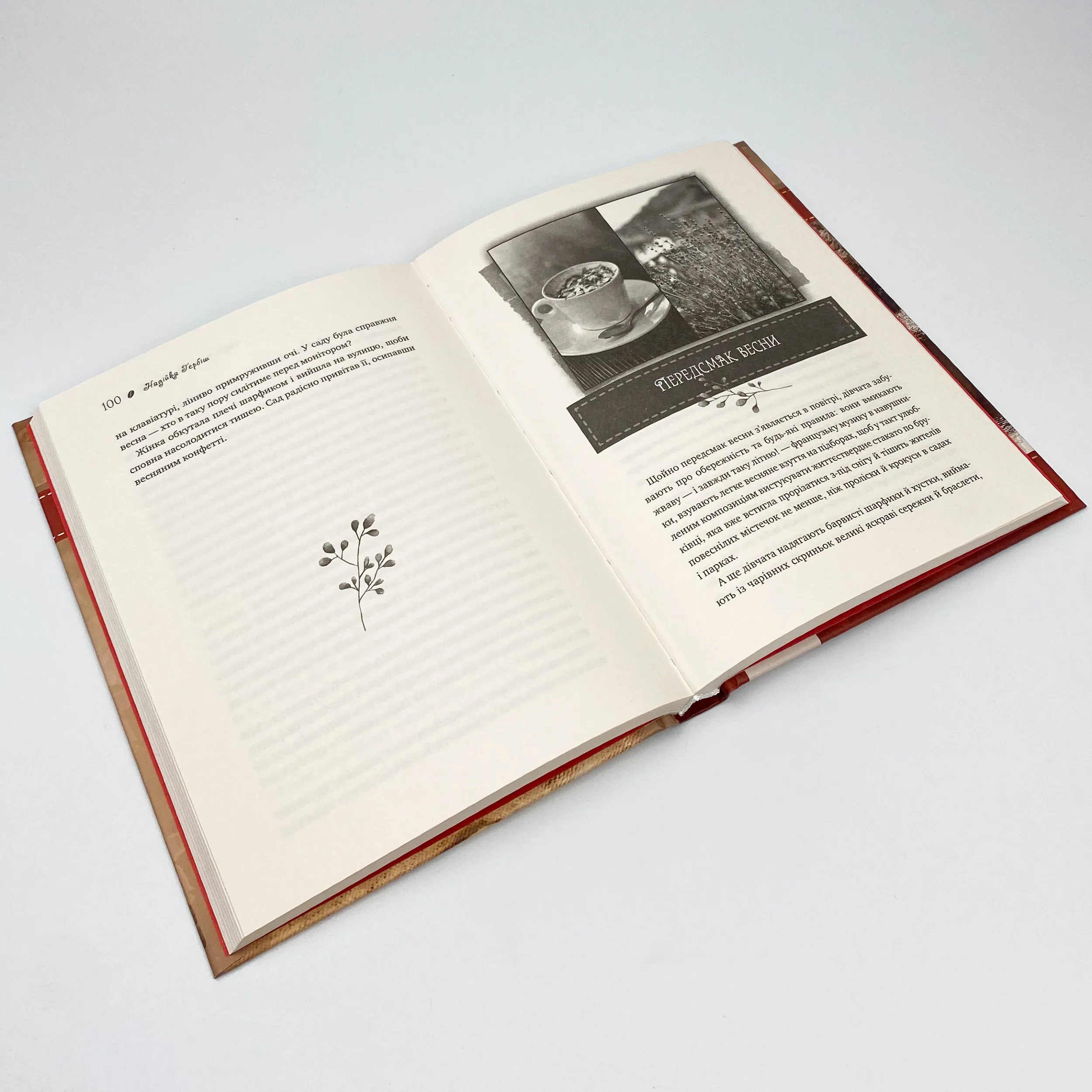 Теплі історії до кави. Автор — Надийка Гербиш. 