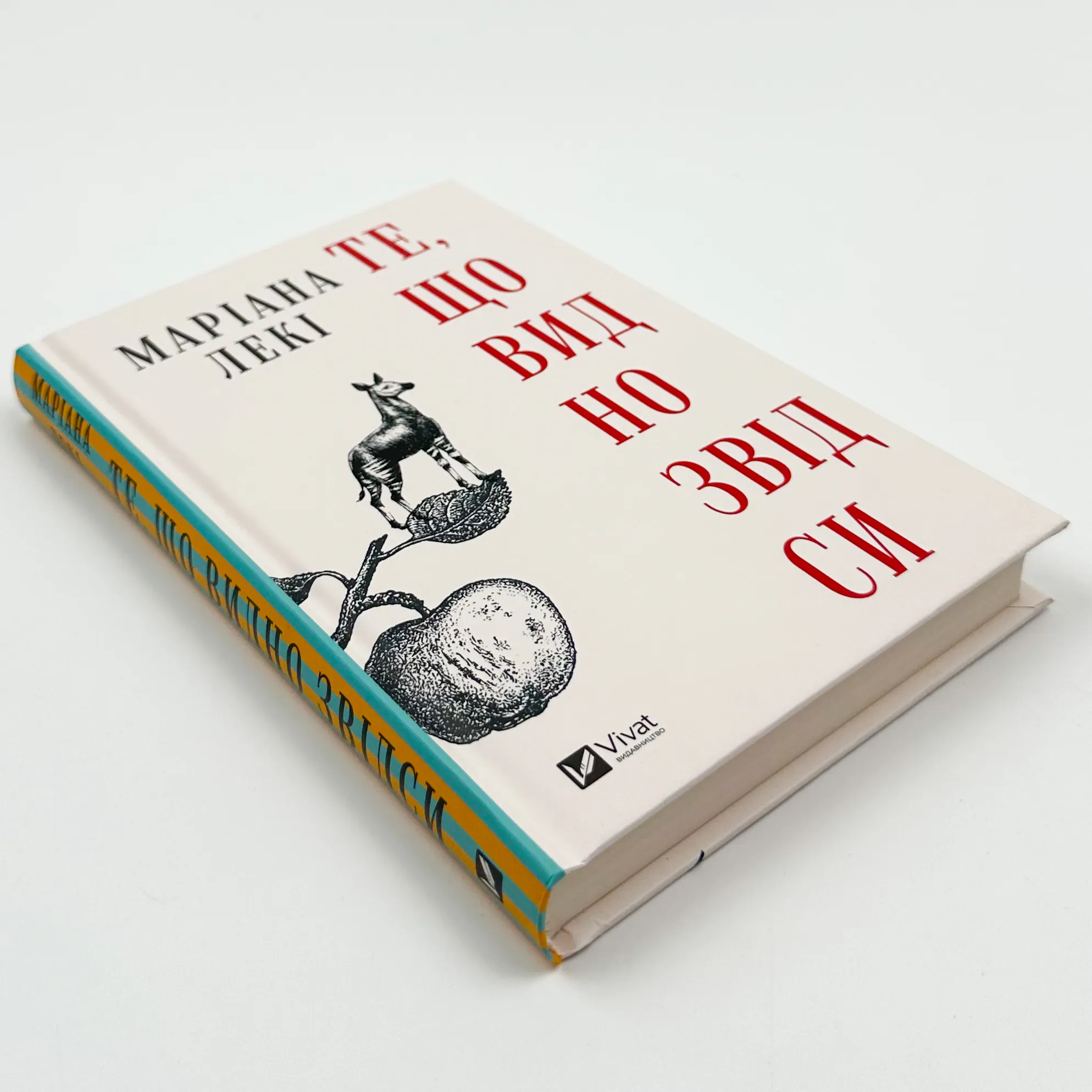 Те, що видно звідси