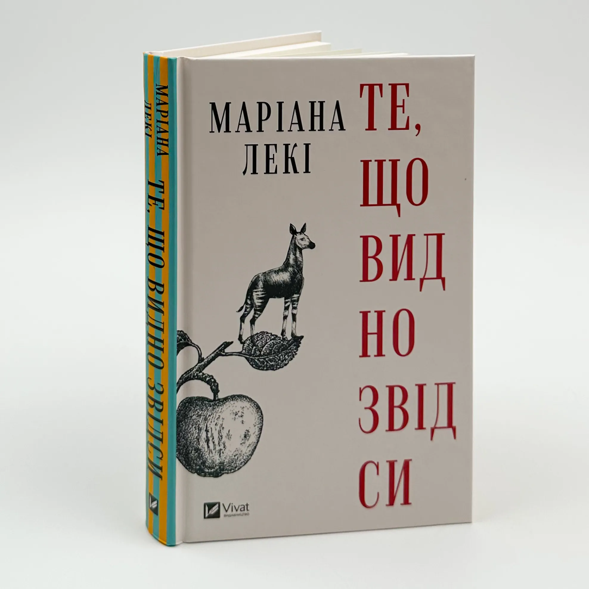 Те, що видно звідси. Автор — Маріана Лекі. 
