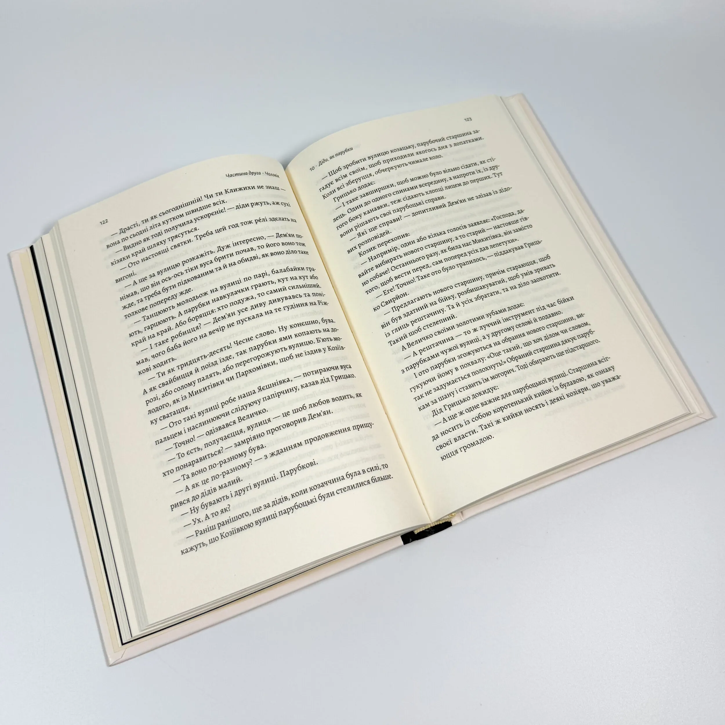 Оринин. Роман про стелепного чоловіка. Автор — Сашко Столовий. 