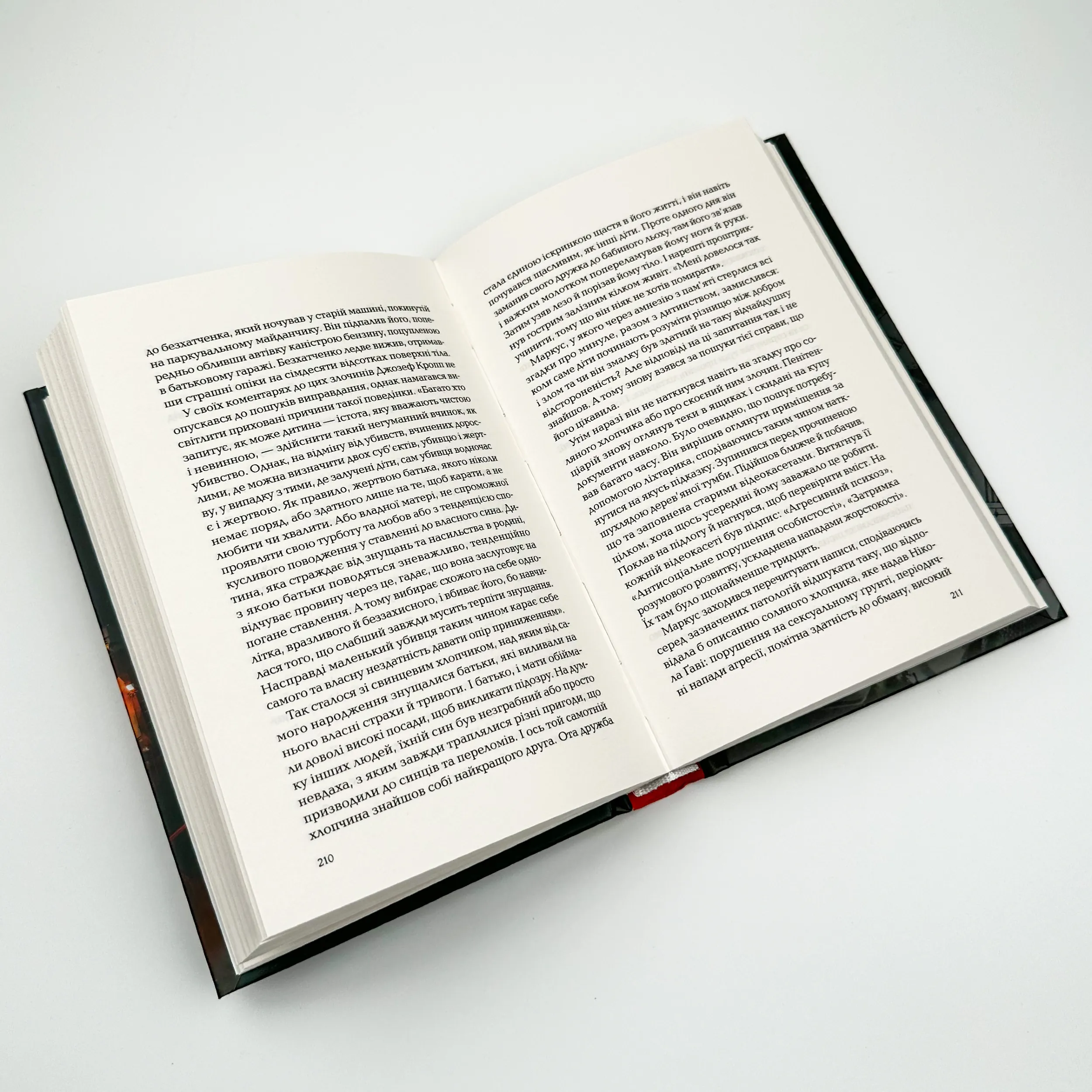 Ловець тіні. Автор — Донато Карризи. 