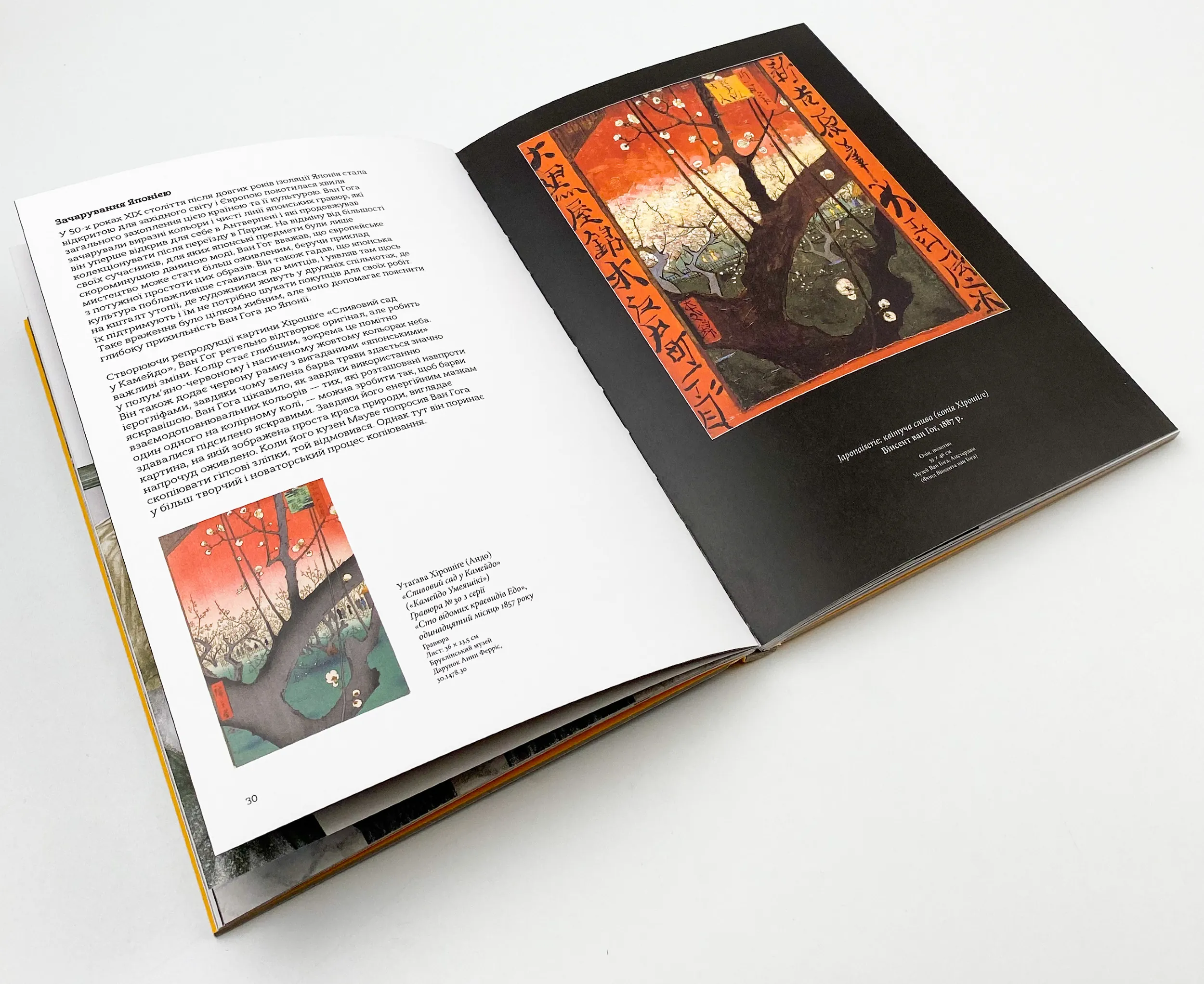 Це Ван Гог. Автор — Джордж Роддам. 