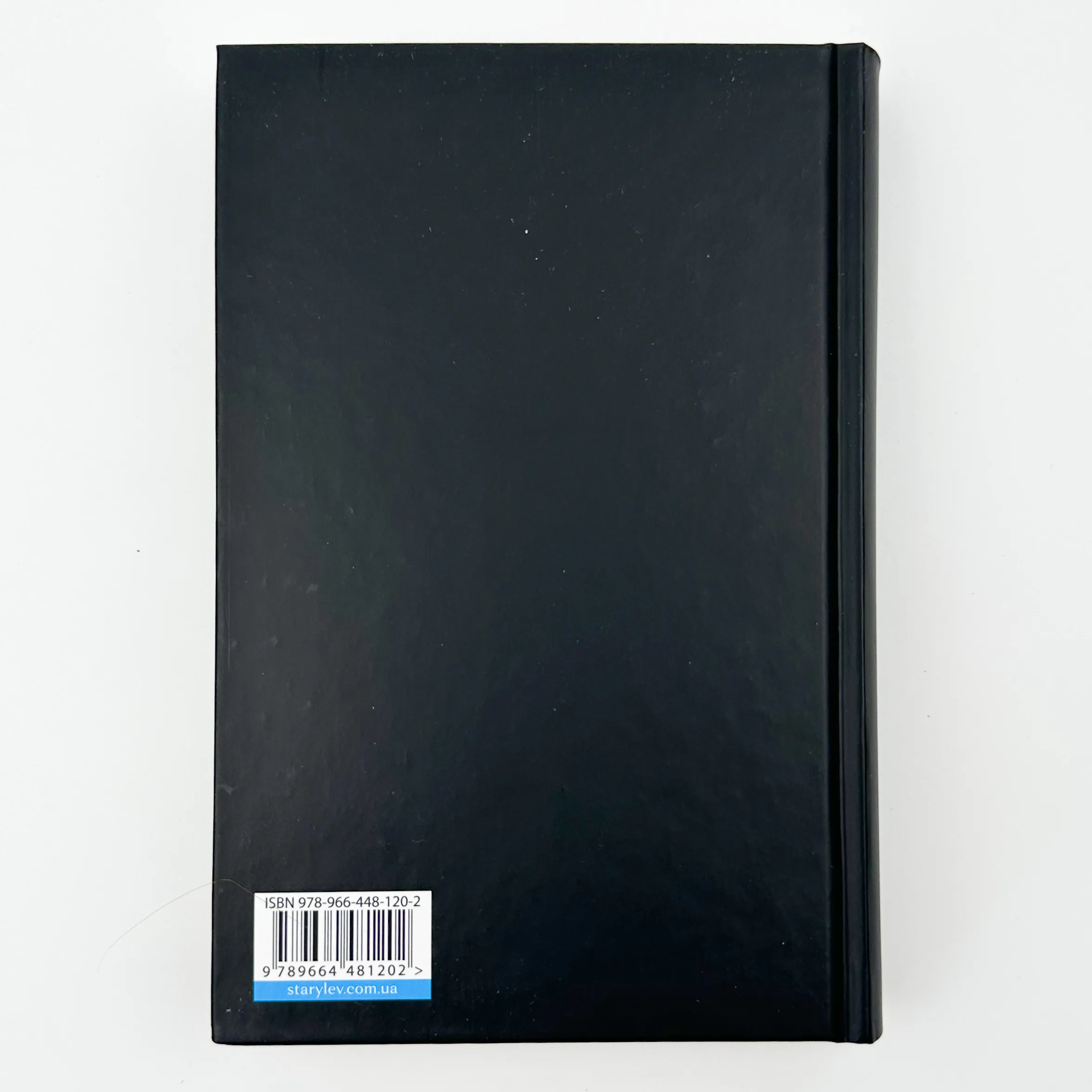 Спорудження мосту. Автор — Костянтин Москалець. 