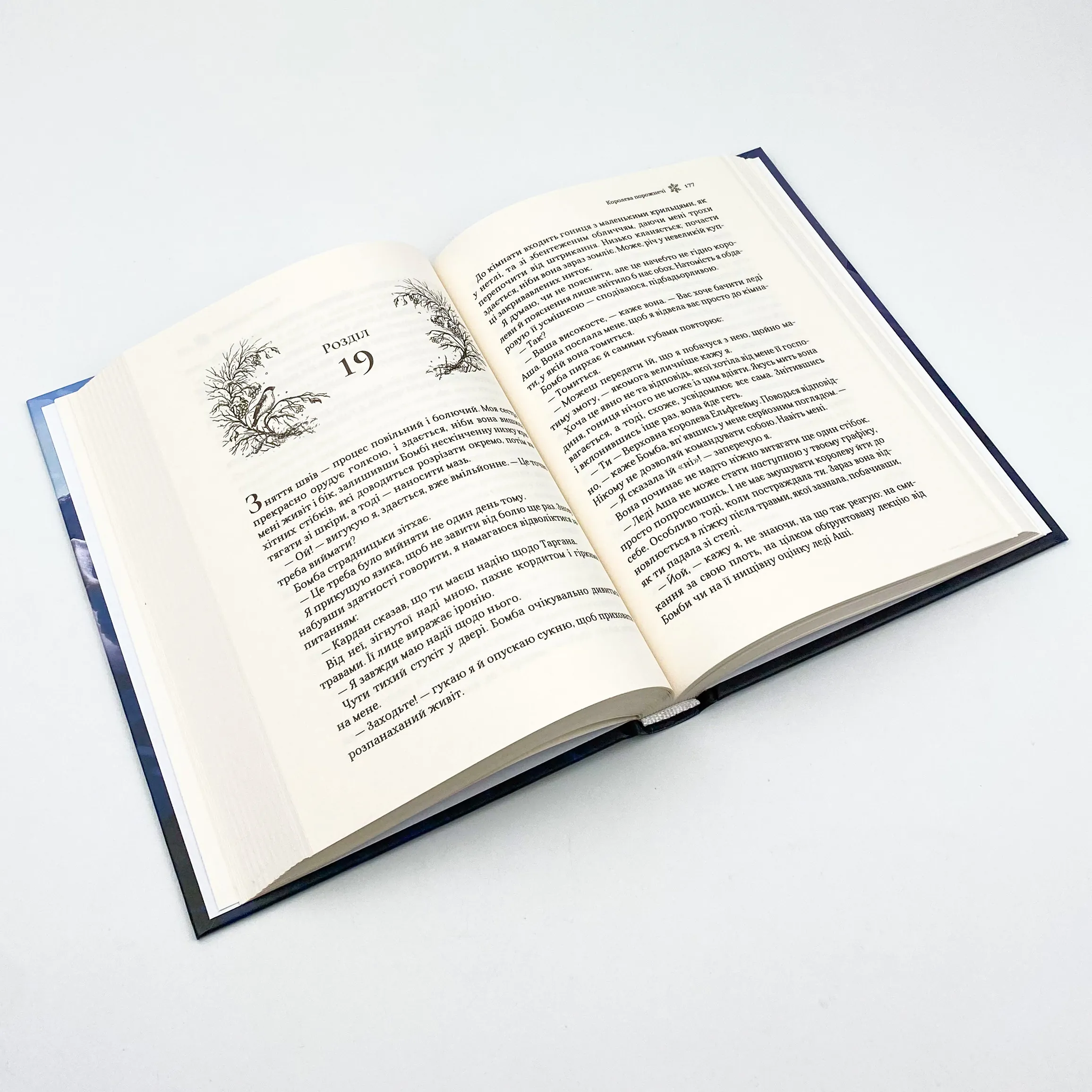 Королева порожнечі. Автор — Блек Голлі. 