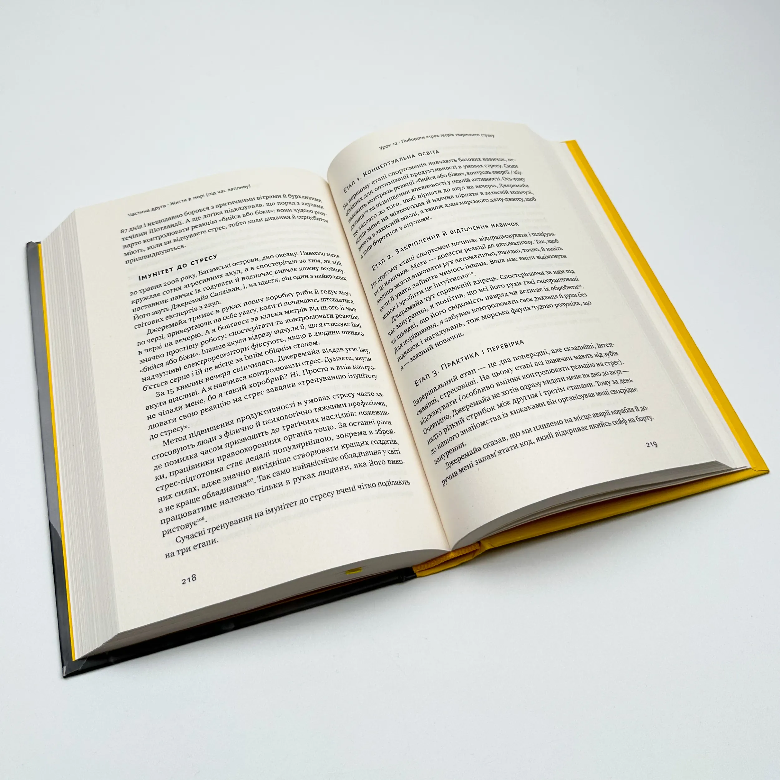 Мистецтво стійкості: стратегії для незламного розуму і тіла. Автор — Росс Еджлі. 