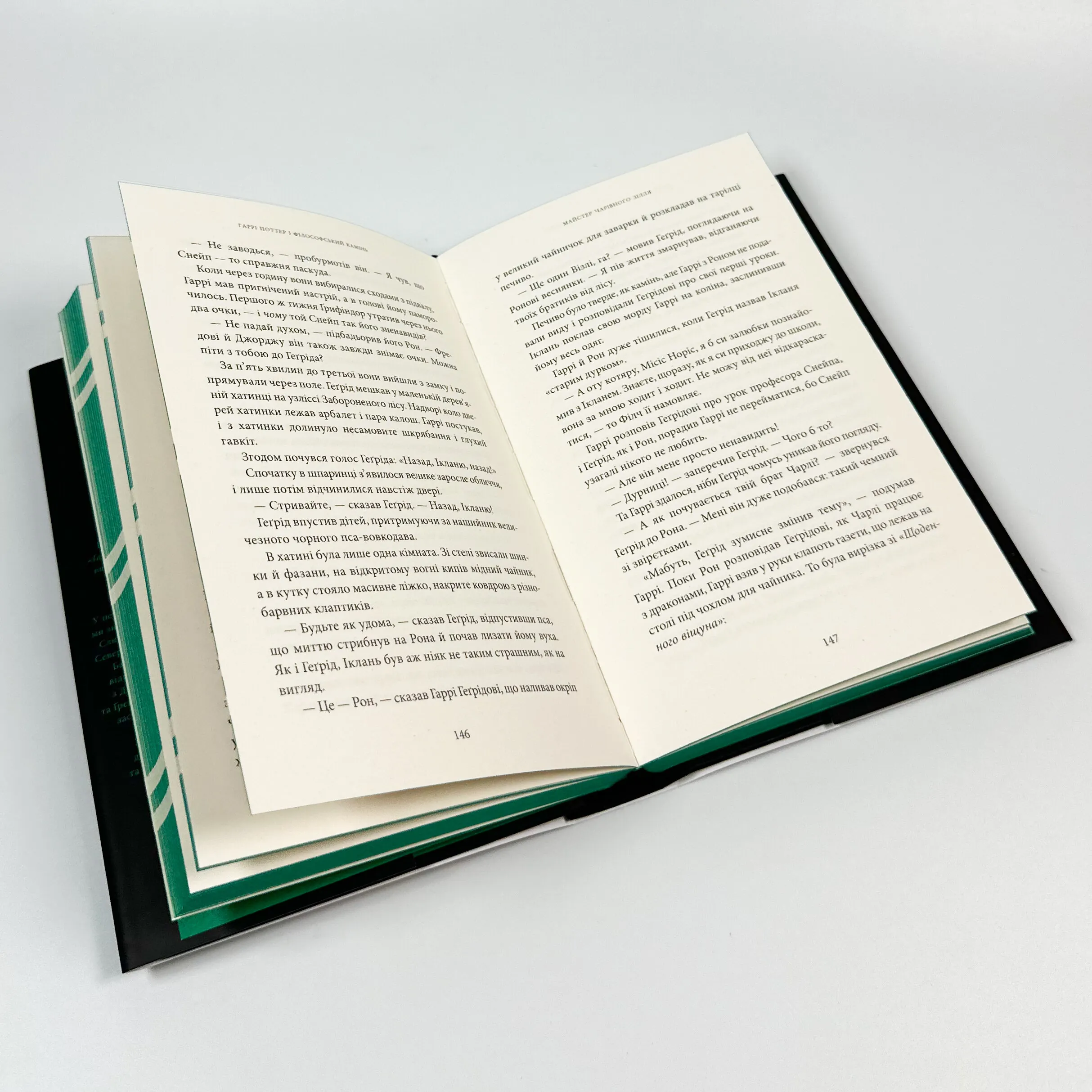 Гаррі Поттер і філософський камінь. Слизеринське видання. Автор — Дж. К. Ролінґ. 