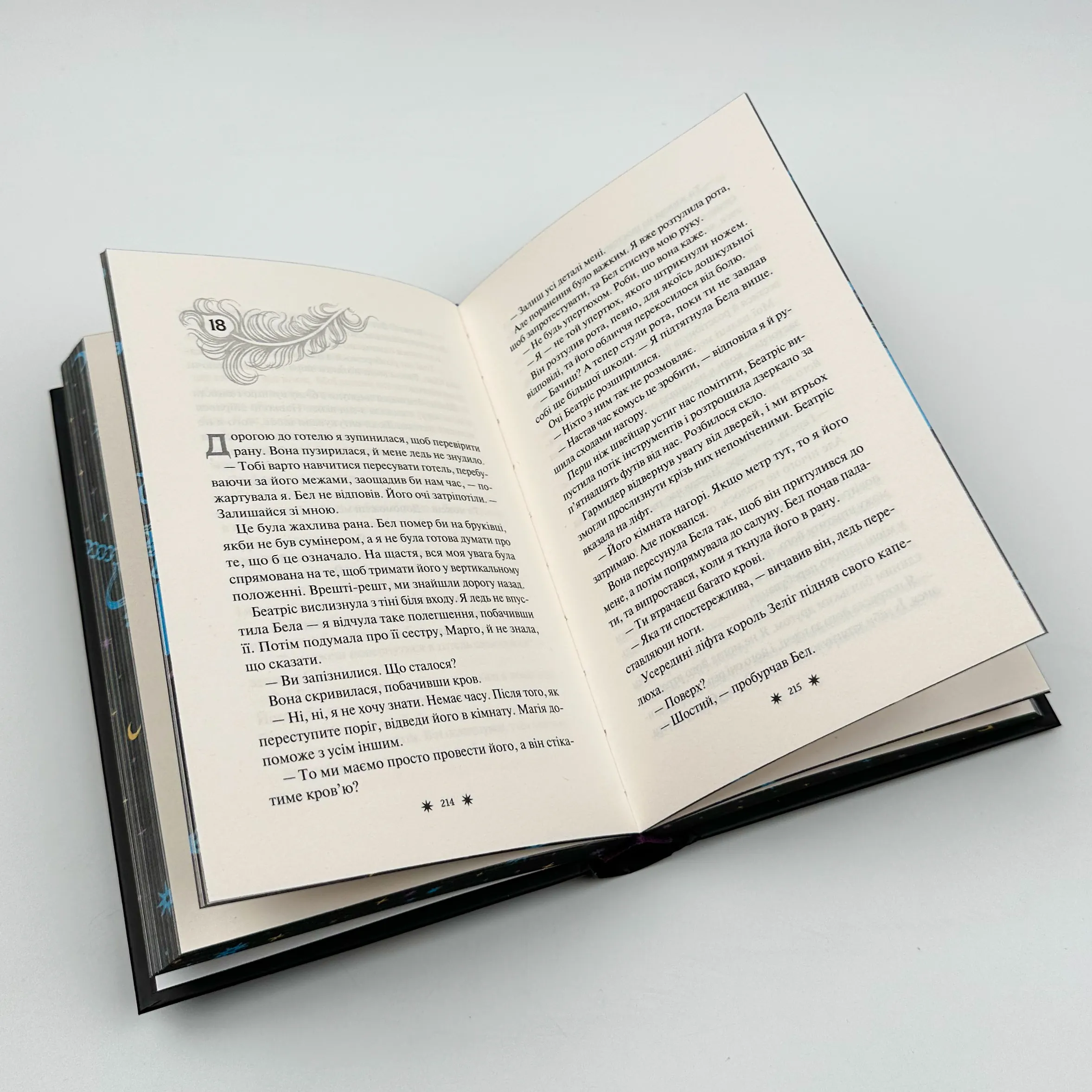 Готель Маґніфік. Автор — Емілі Дж. Тейлор. 