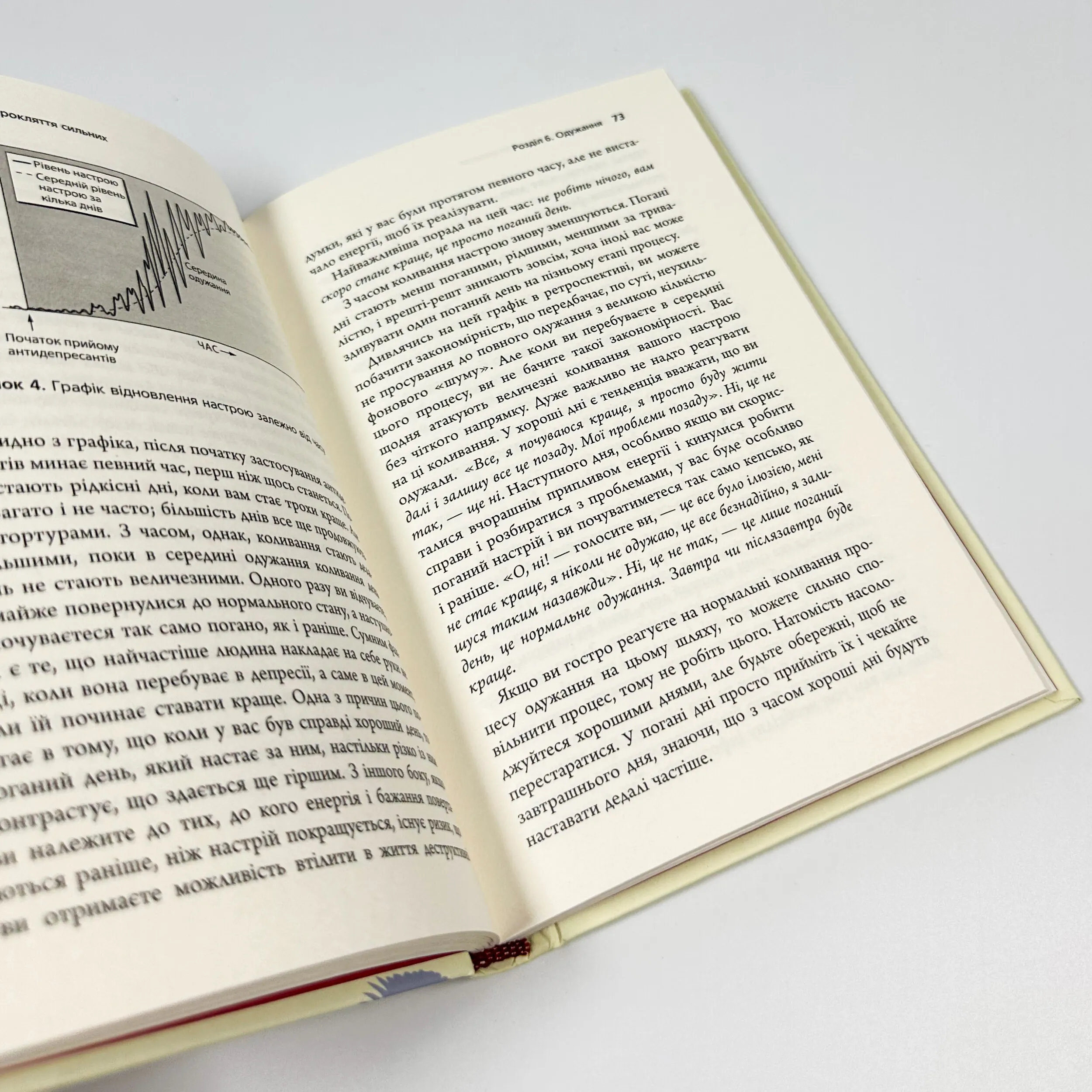 Депресія — прокляття сильних. Як боротися з найпоширенішою хворобою в світі. Автор — Тім Кантофер. 