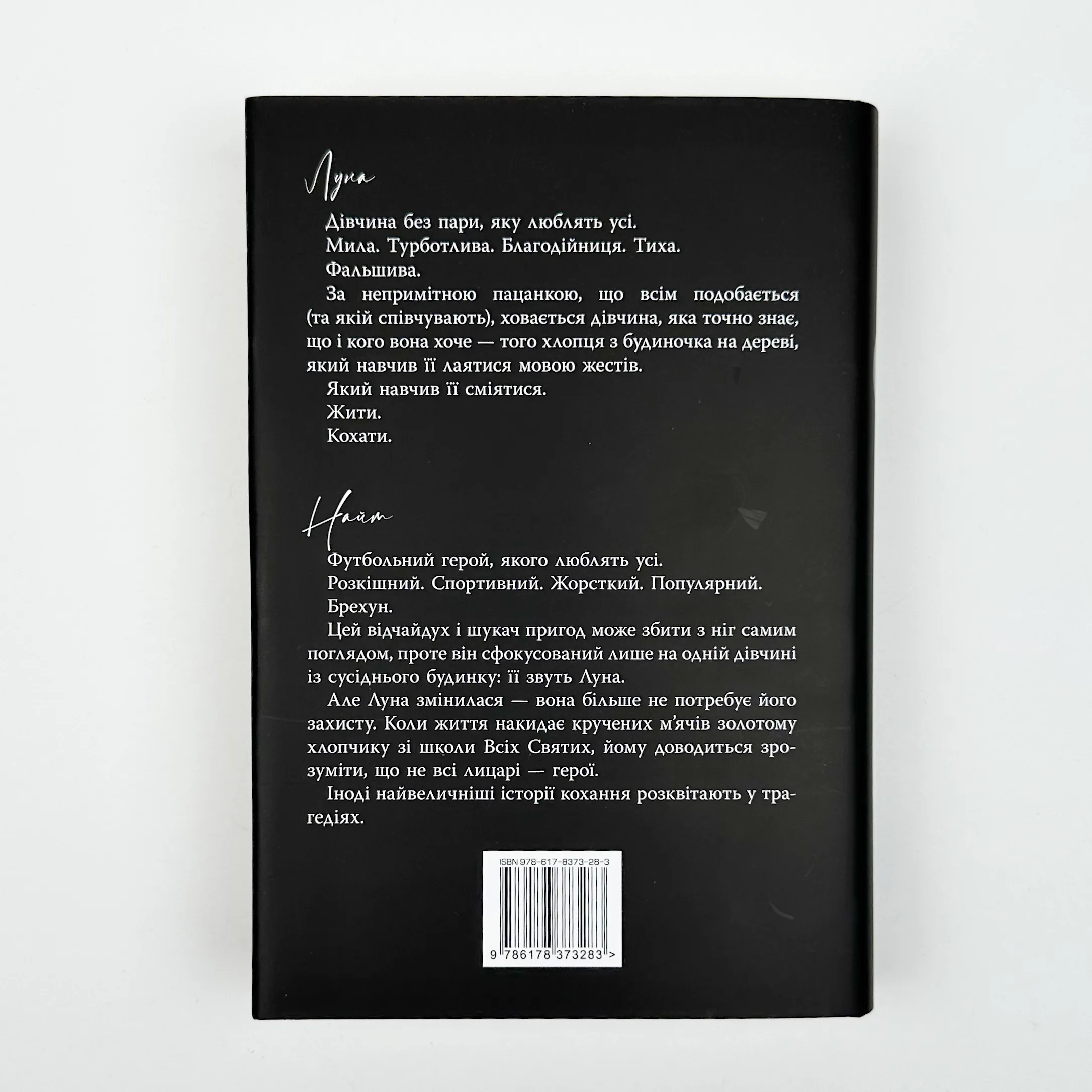 Розбитий лицар. Автор — Л. Дж. Шен. 