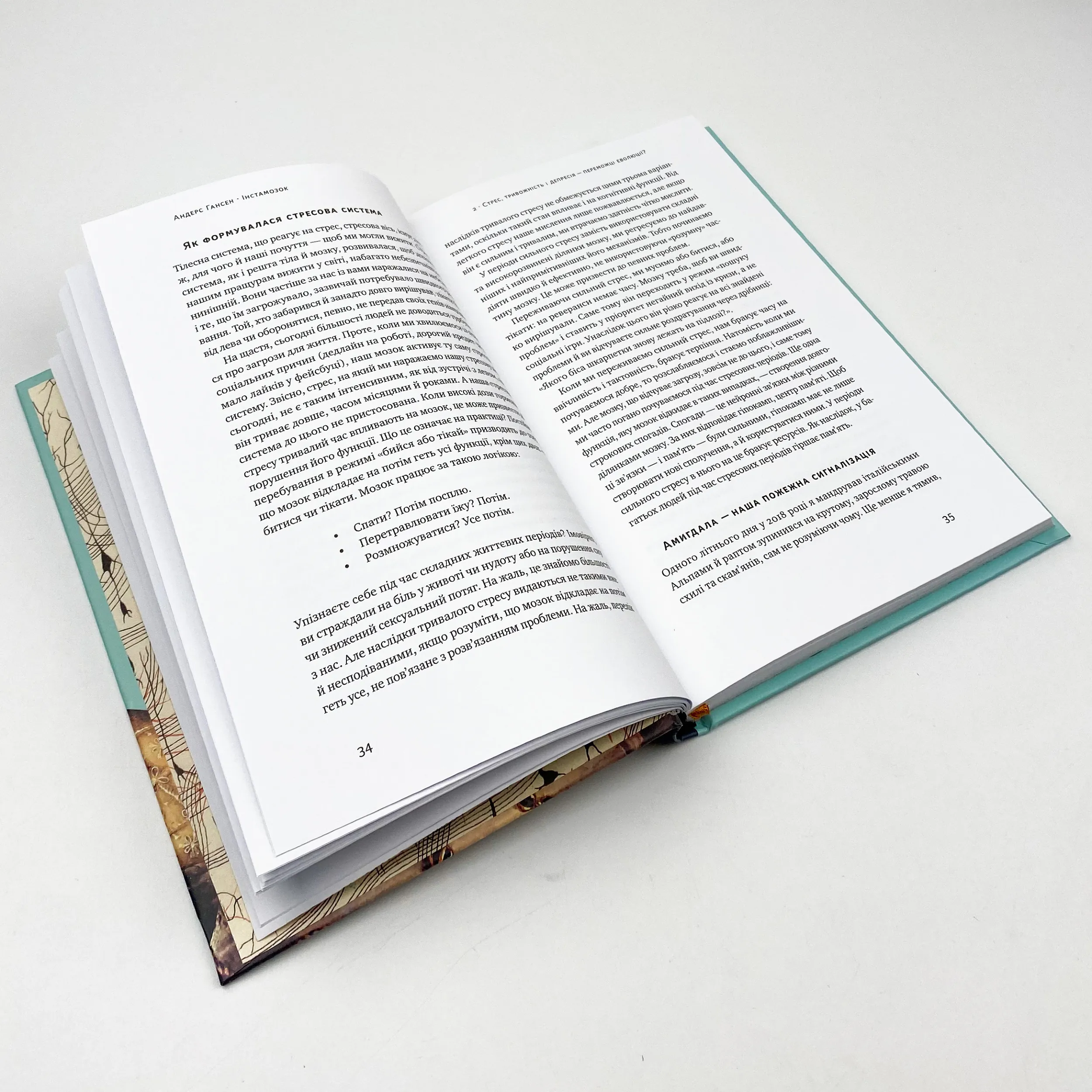 Інстамозок. Як екранна залежність призводить до стресів і депресії. Автор — Андерс Хансен. 