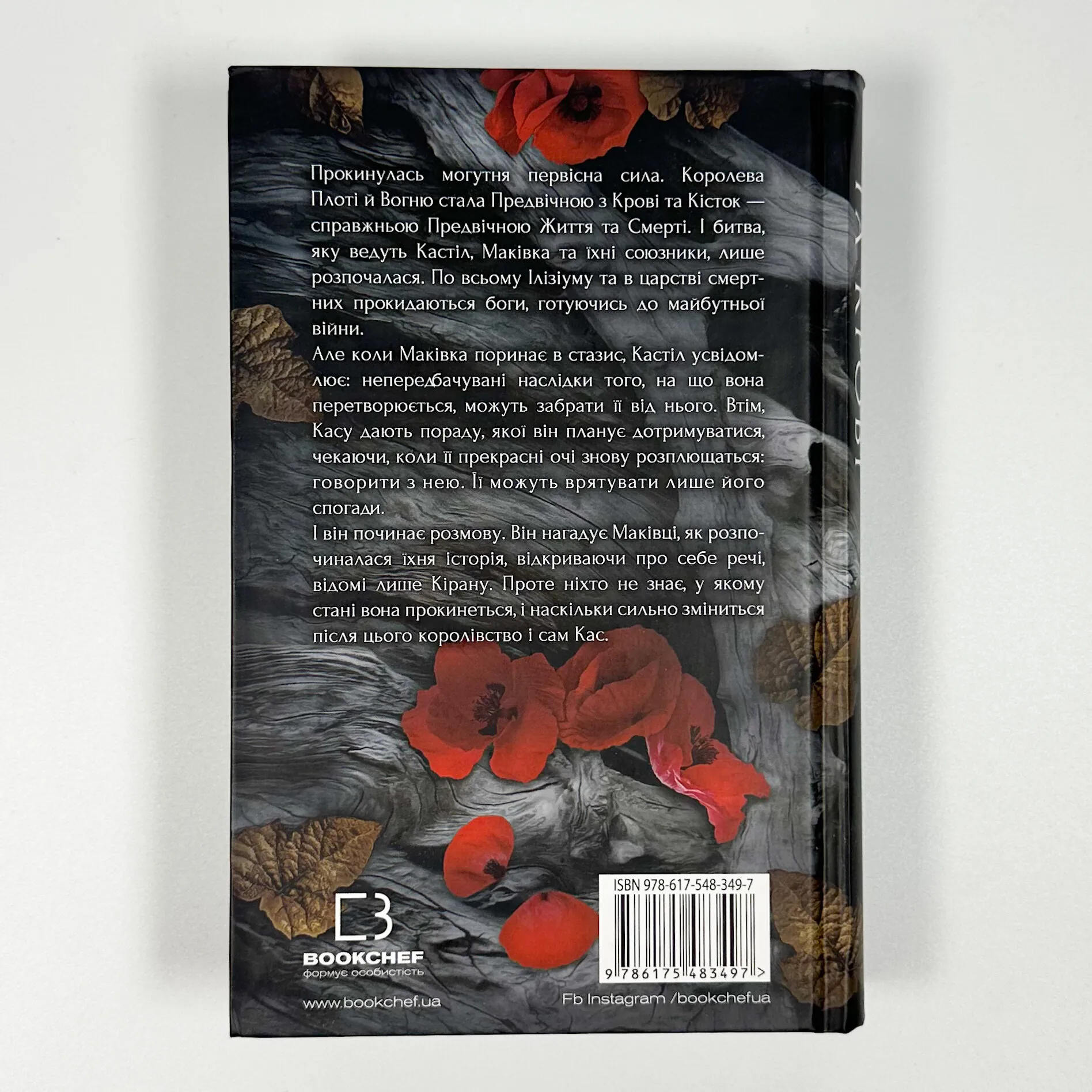 Кров і попіл. Книга 5. Душа з попелу та крові. Автор — Дженніфер Л. Арментраут. 