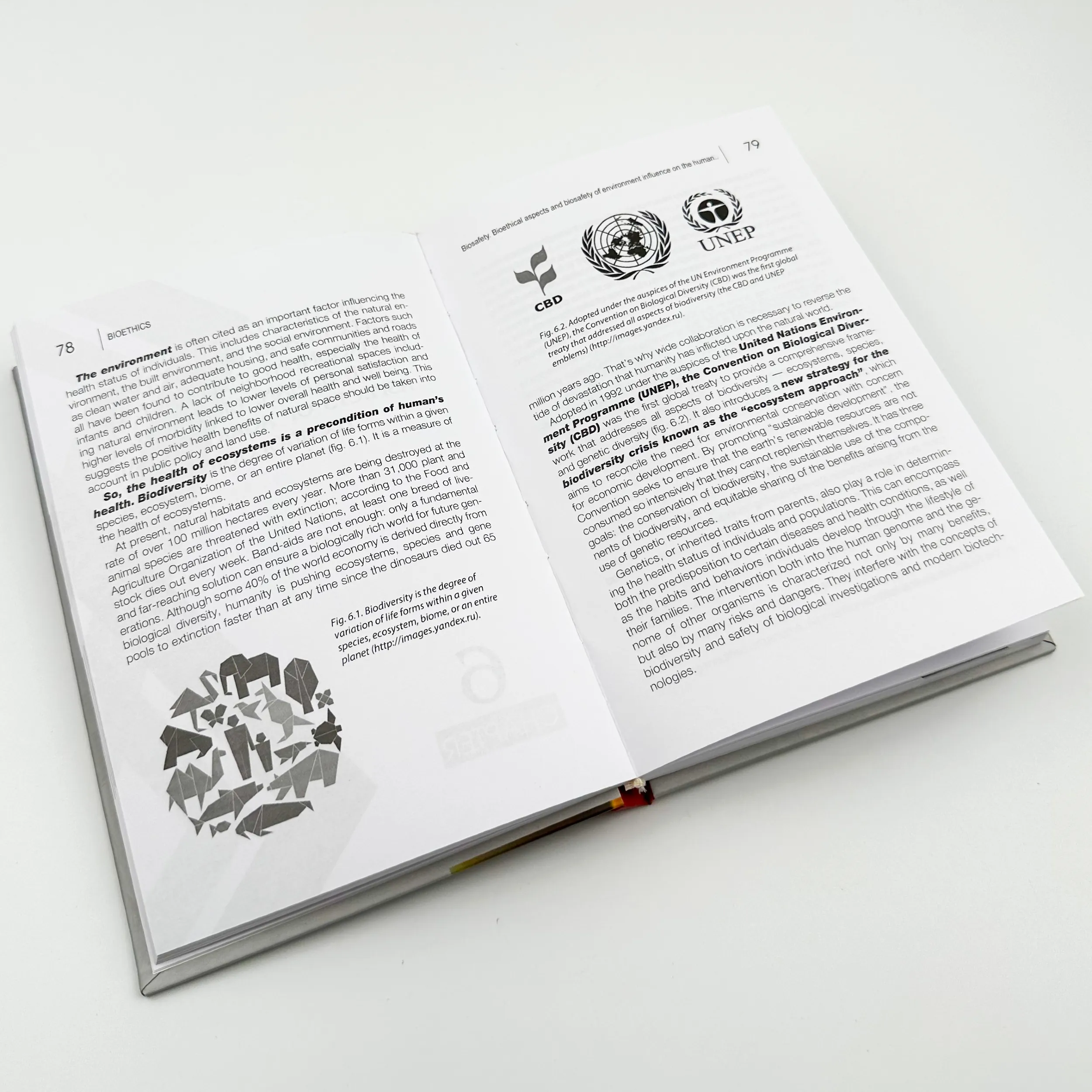 Bases of Bioethics and Biosafety. Автор — Бобирьов В. М.. 