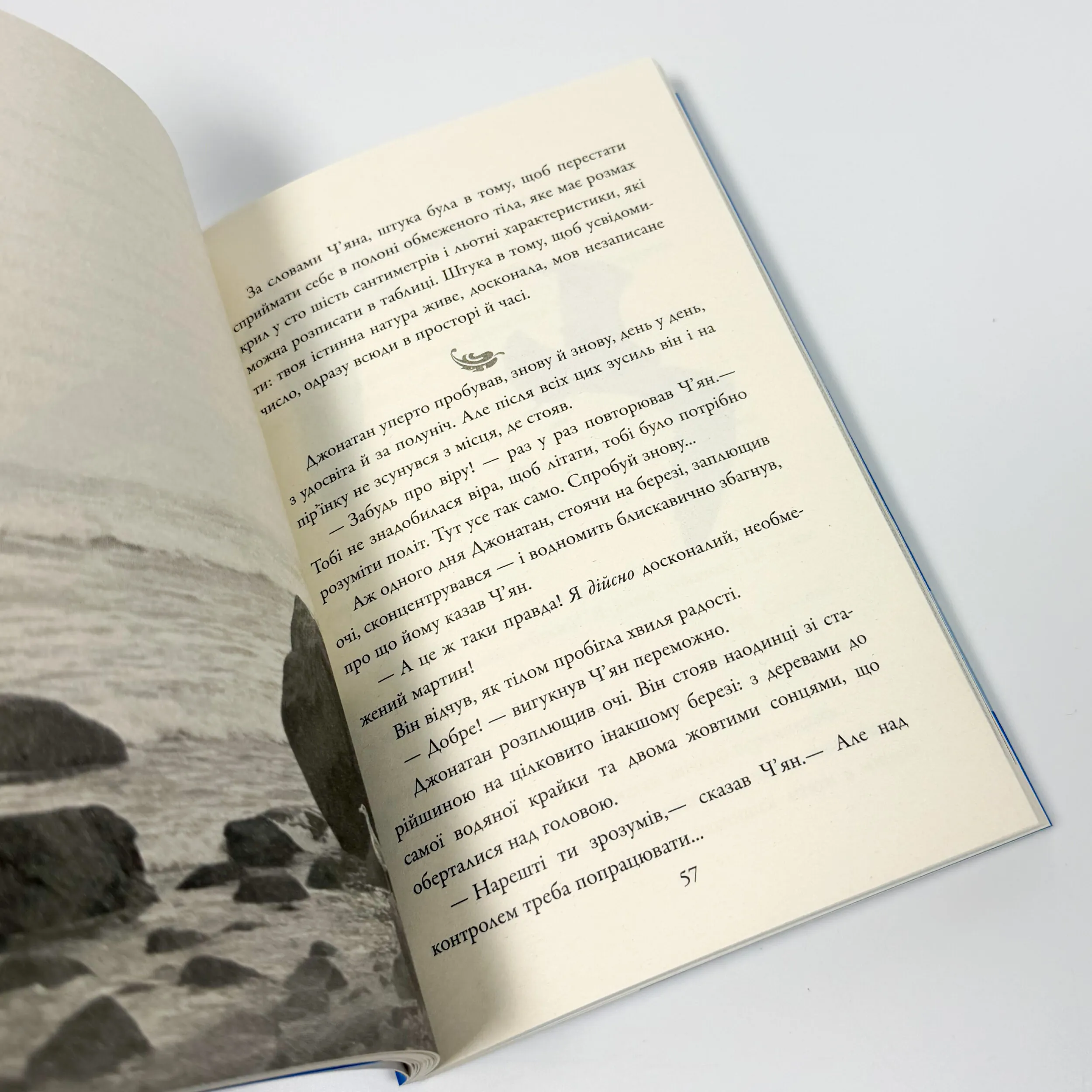 Джонатан Лівінгстон, мартин