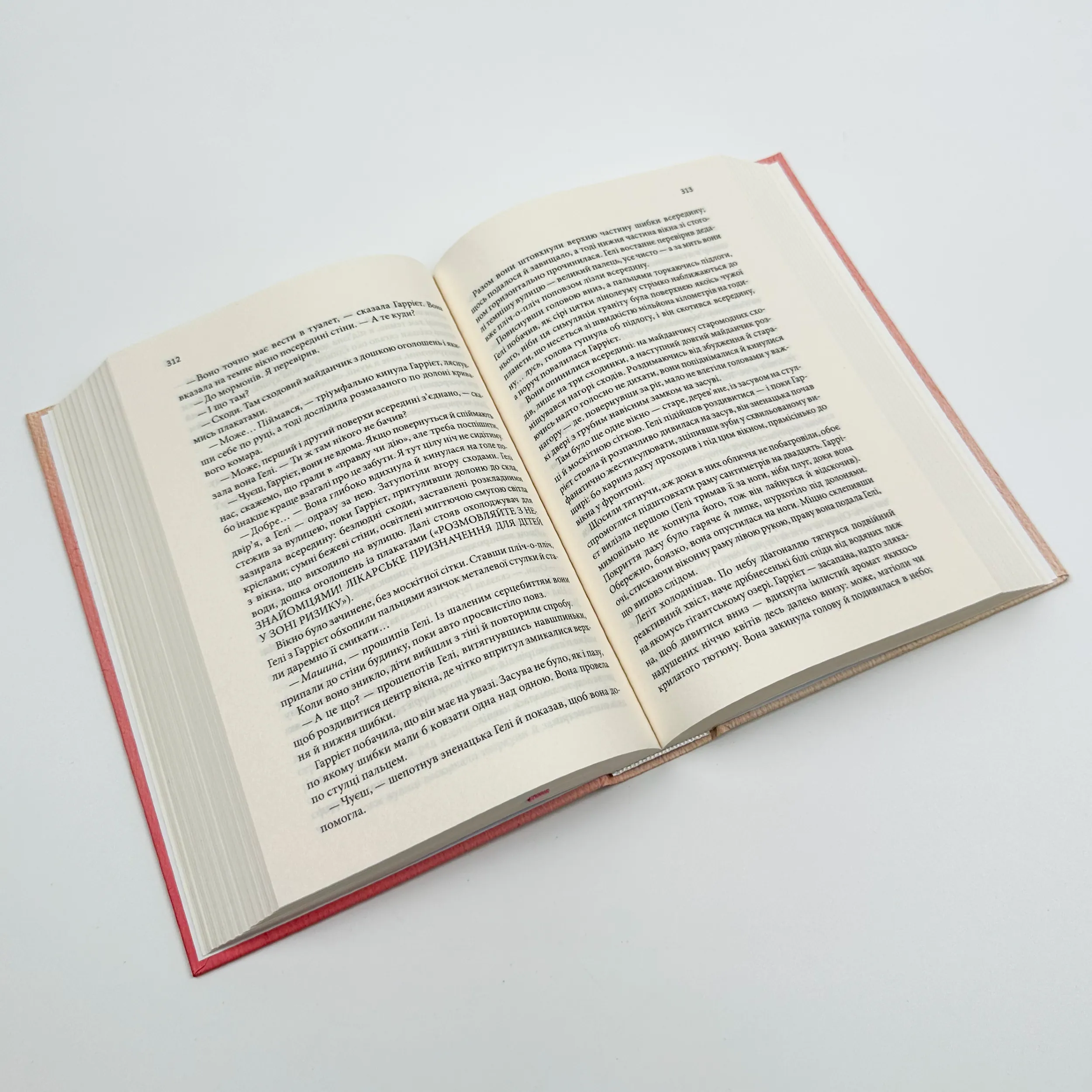 Маленький друг. Автор — Донна Тартт. 