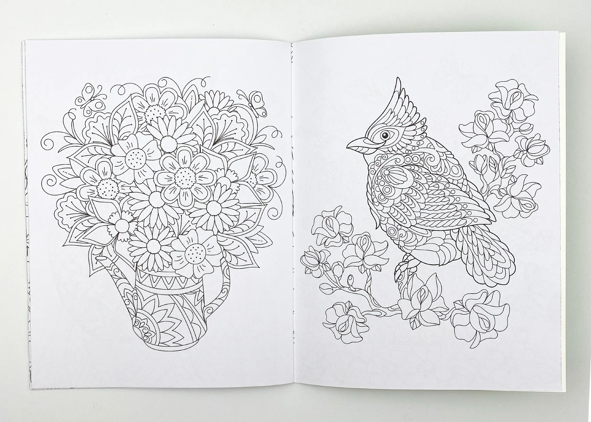 Розмальовка-антистрес. Творча насолода. . 