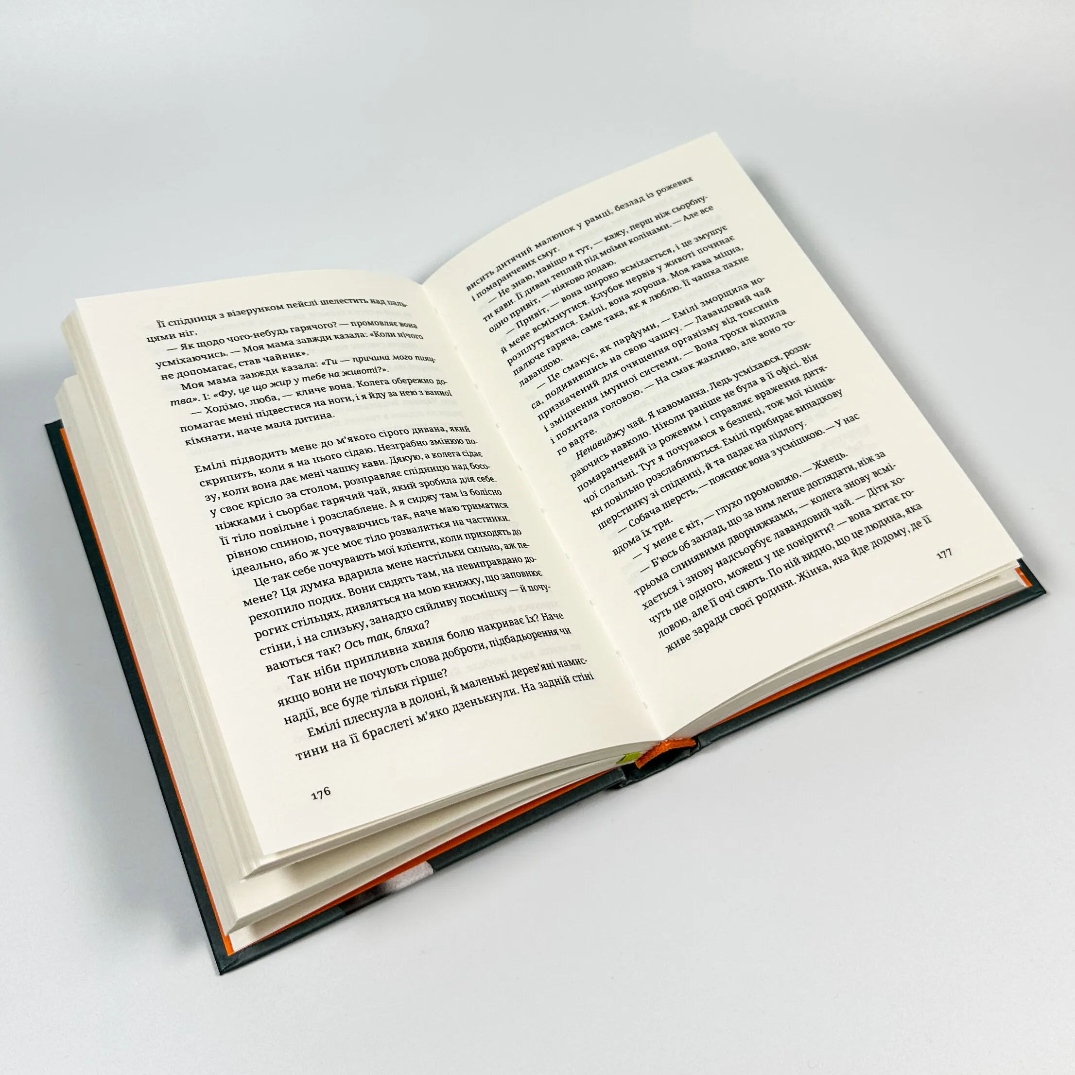 Незнайомець нагорі. Автор — Ліза М. Матлін. 