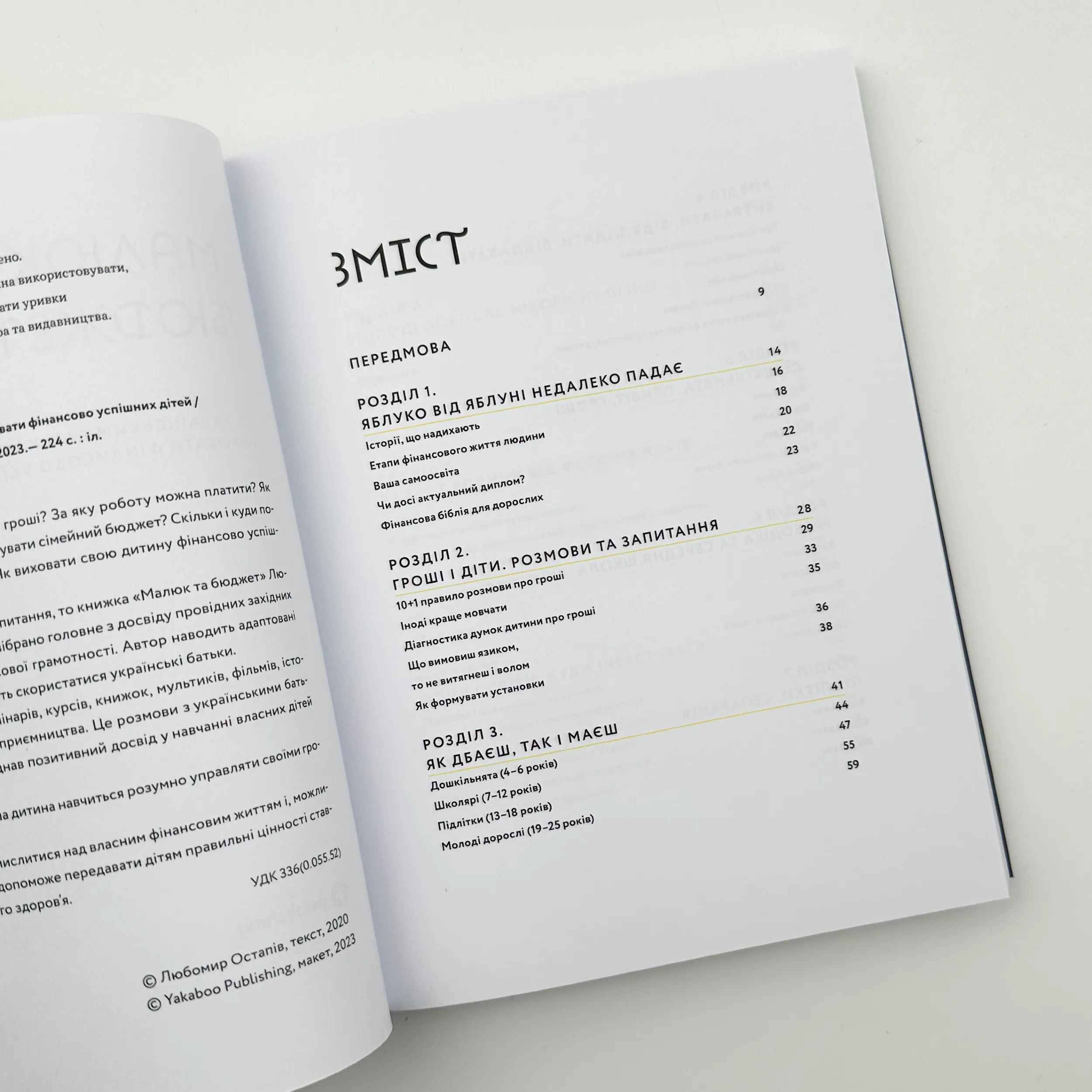 Малюк та бюджет. Як українським батькам виховати фінансово успішних дітей. Автор — Любомир Остапів. 