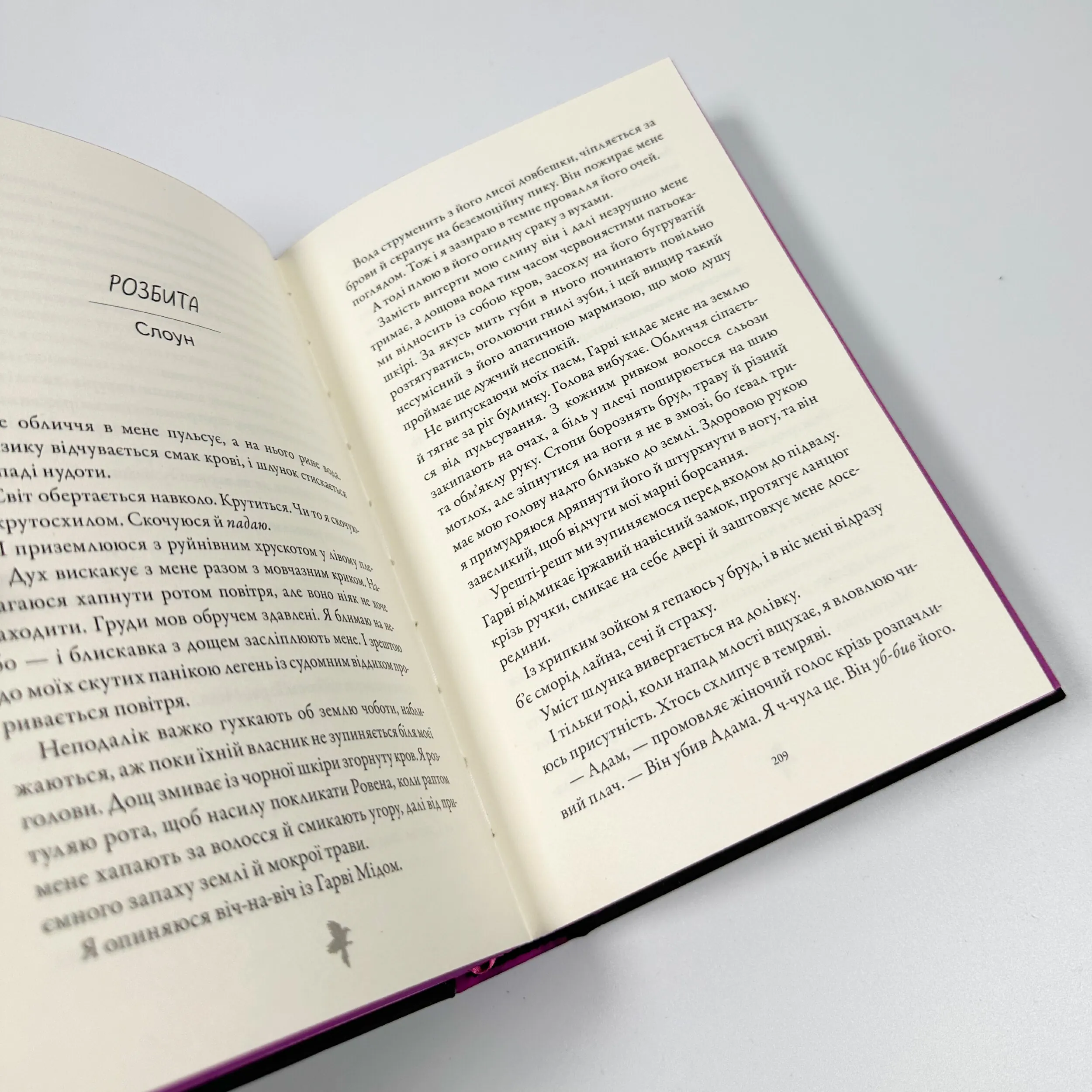 М'ясник та Чорна Пташка. Автор — Брінн Вівер. 