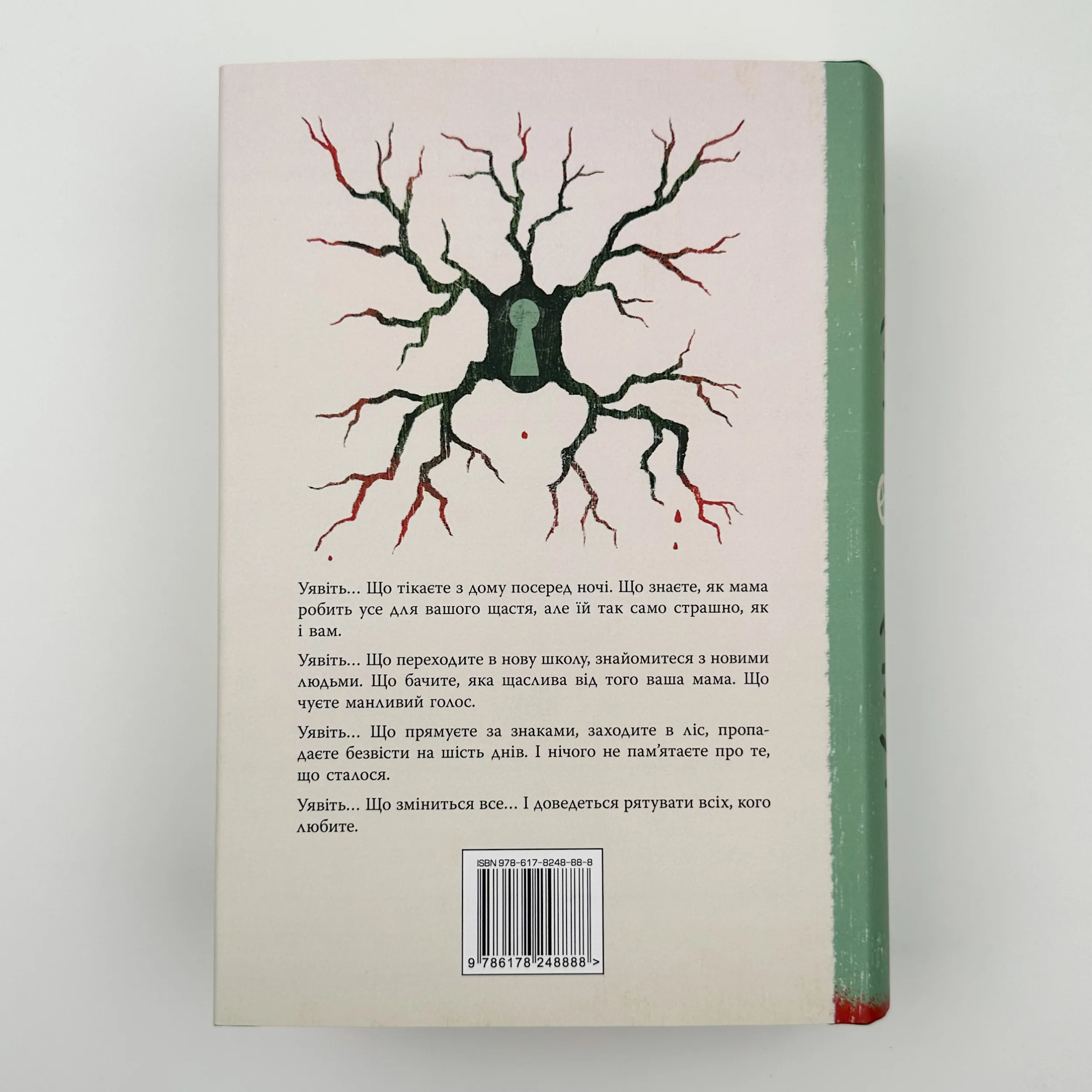 Уявний друг. Автор — Стівен Чбоскі. 