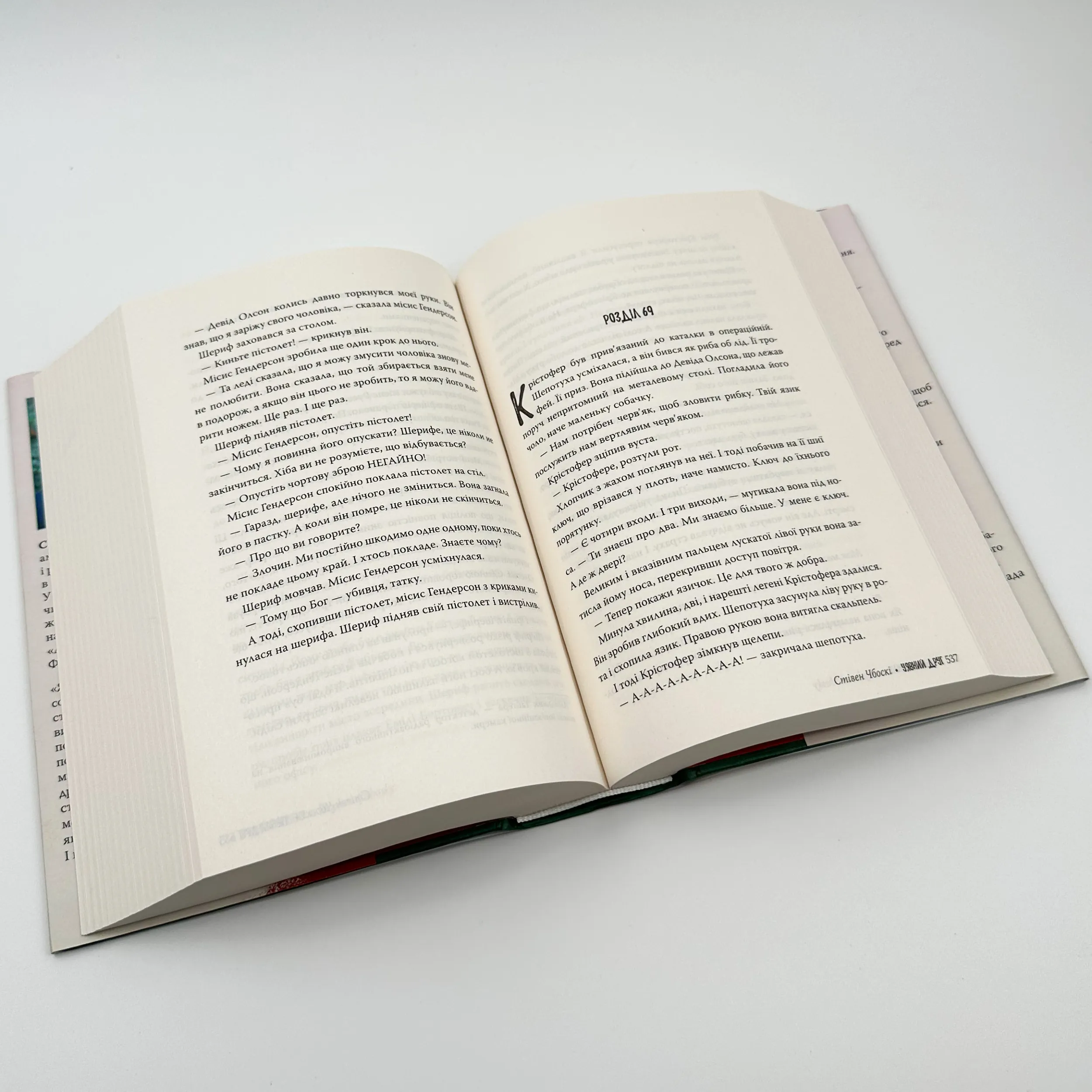 Уявний друг. Автор — Стівен Чбоскі. 