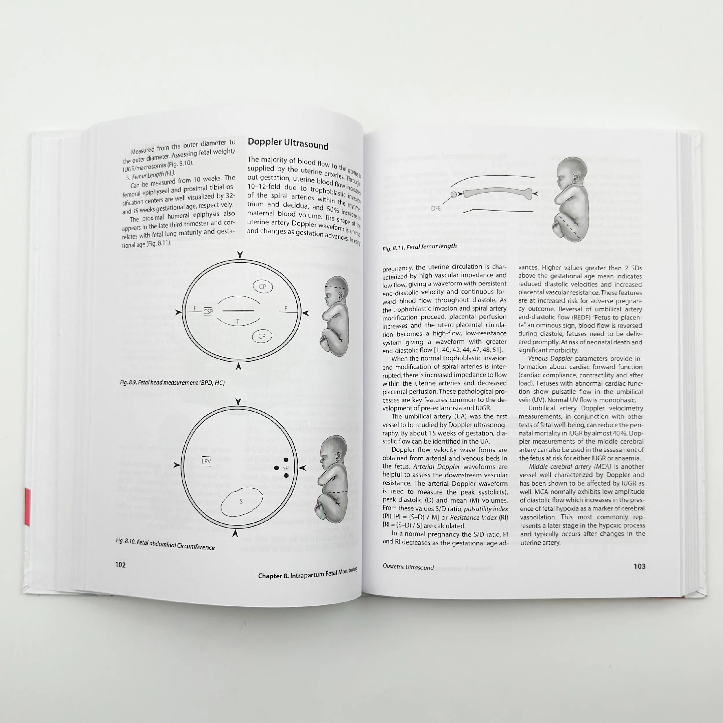 Obstetrics . Автор — Гладчук І.З.. 