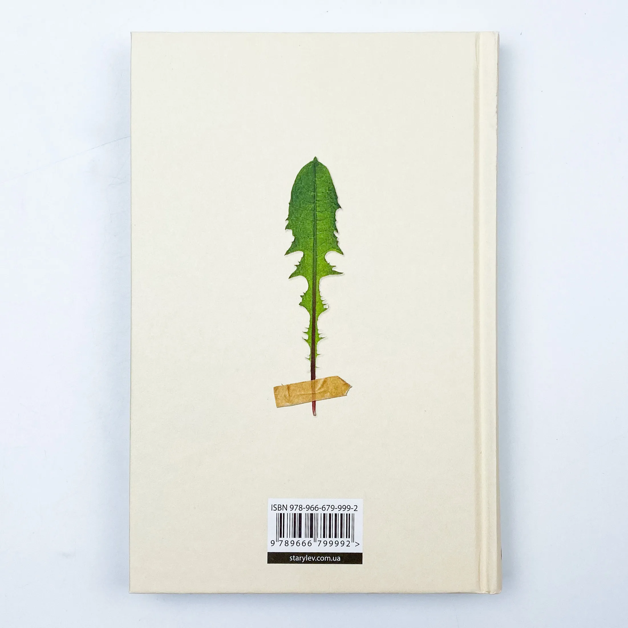 Кульбаба. Автор — Квітка Налада. 