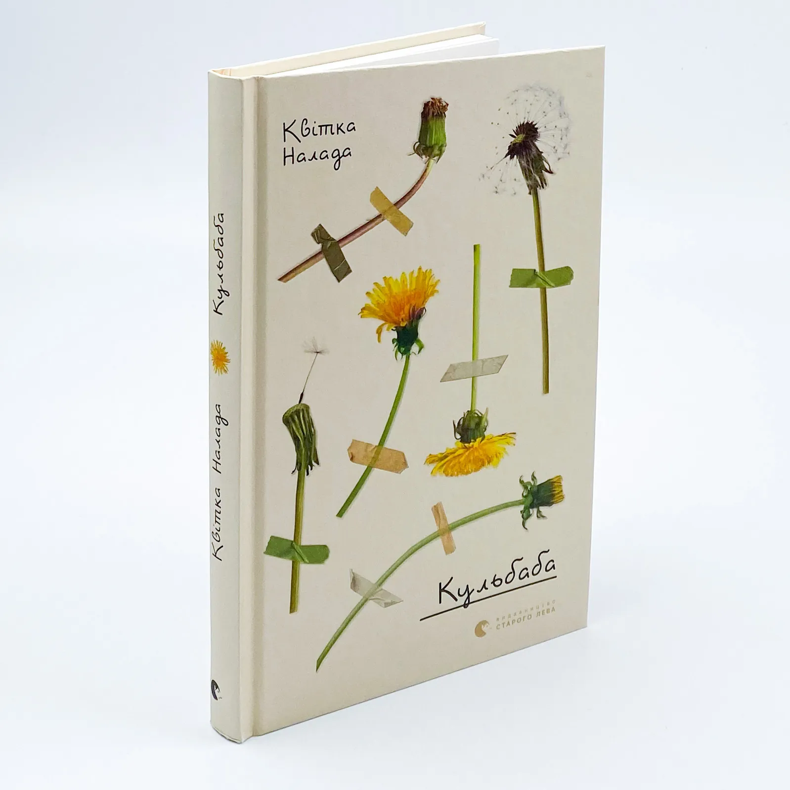 Кульбаба. Автор — Квітка Налада. 