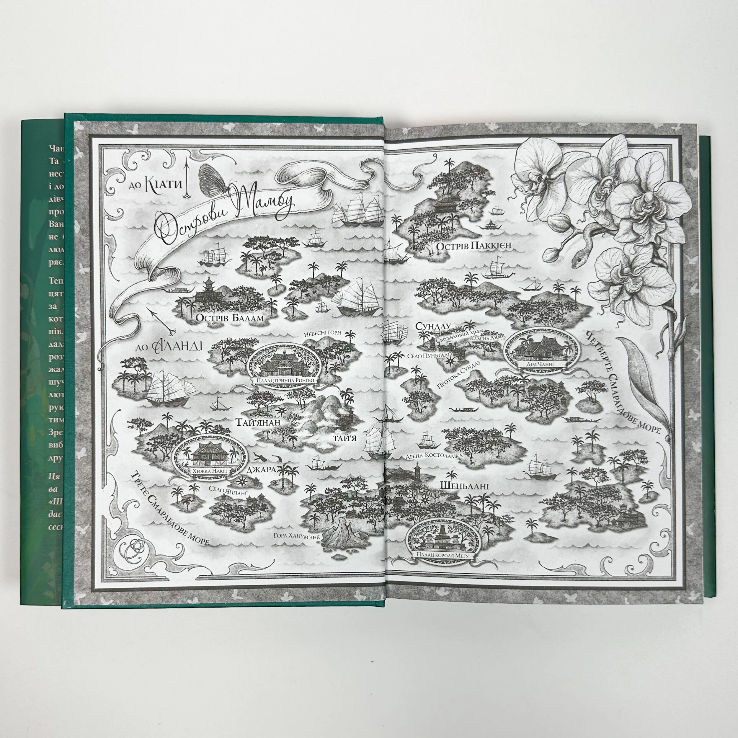 Її осяйне прокляття. Автор — Елізабет Лім. 