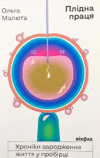 Плідна праця. Хроніки зародження життя у пробірці
