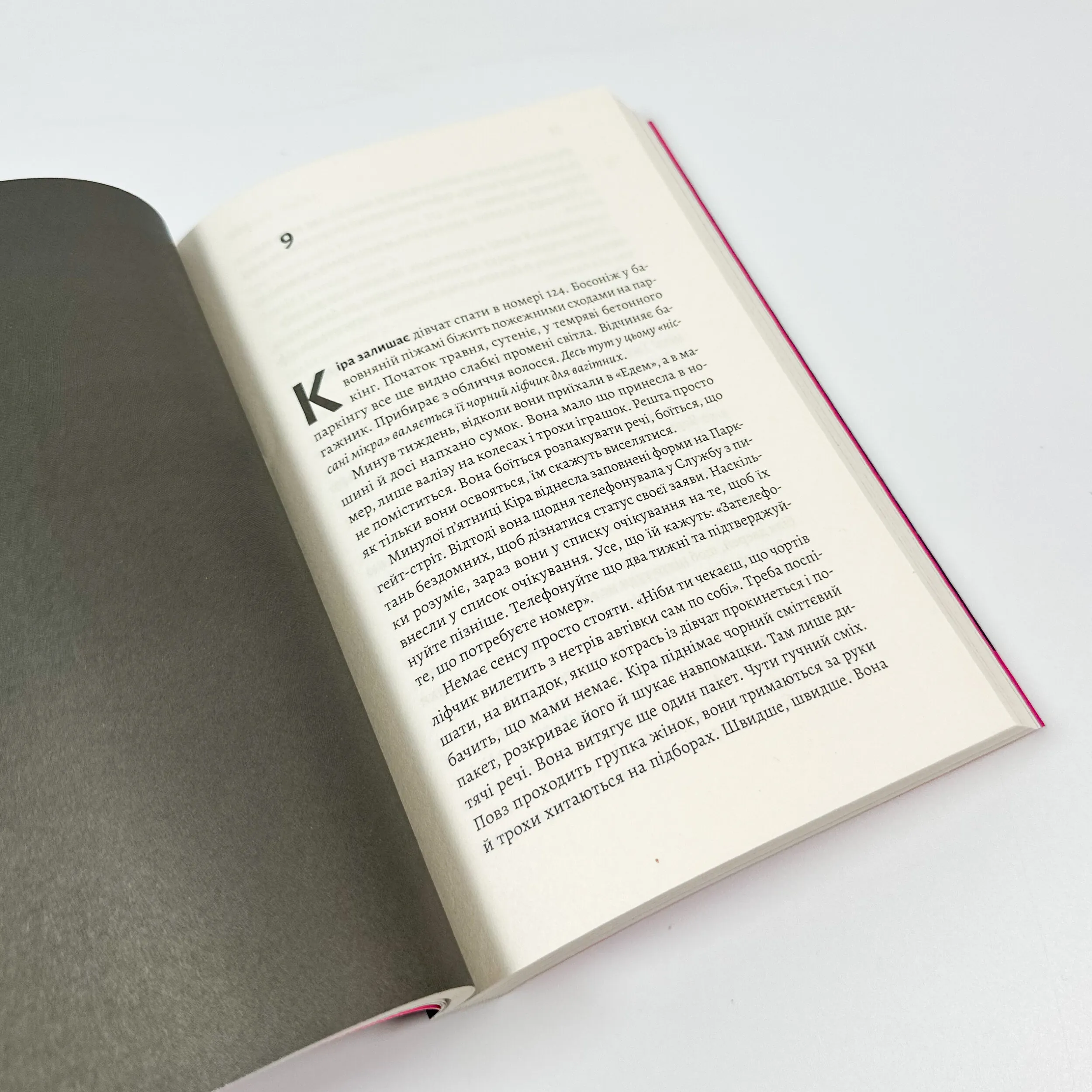 Гніздо. Автор — Рошін О'Доннелл. 