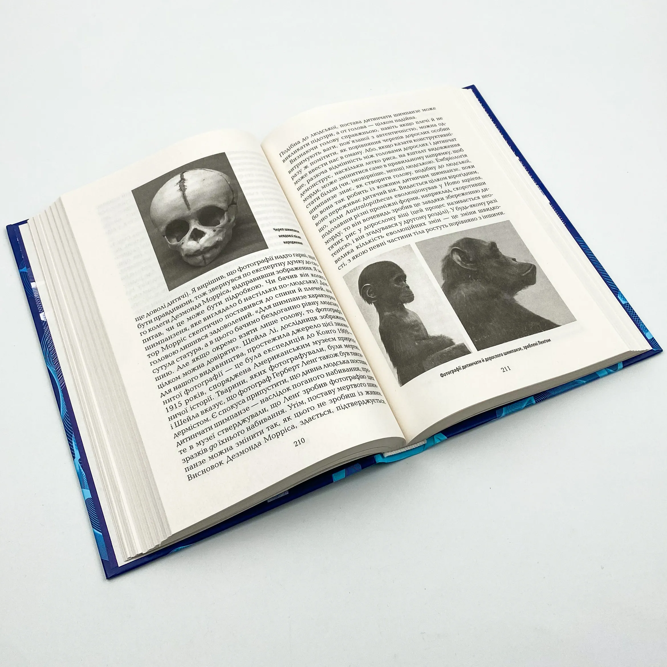 Найграндіозніше шоу на Землі: доказ еволюції. Автор — Річард Докінз. 