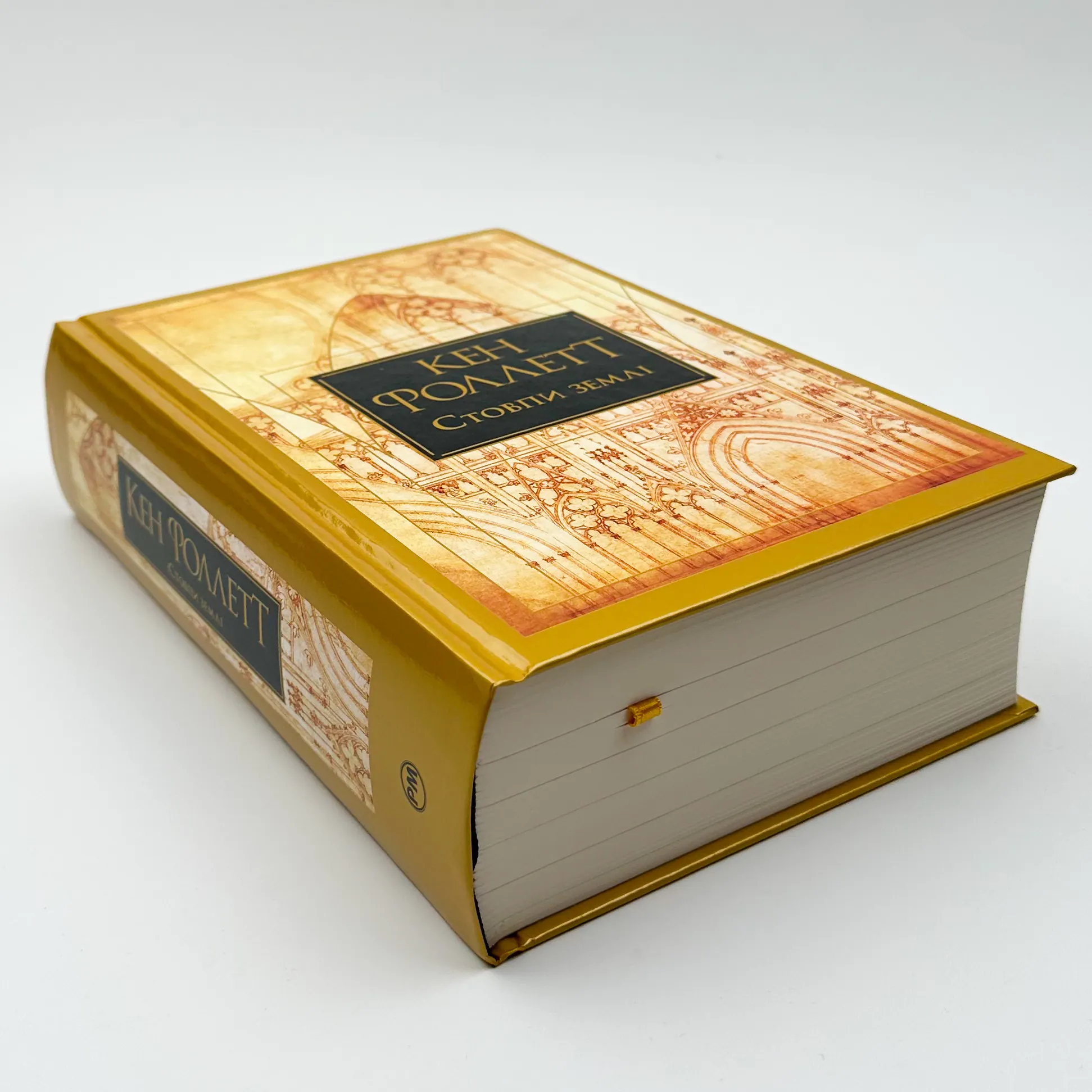 Стовпи землі (книга 1)