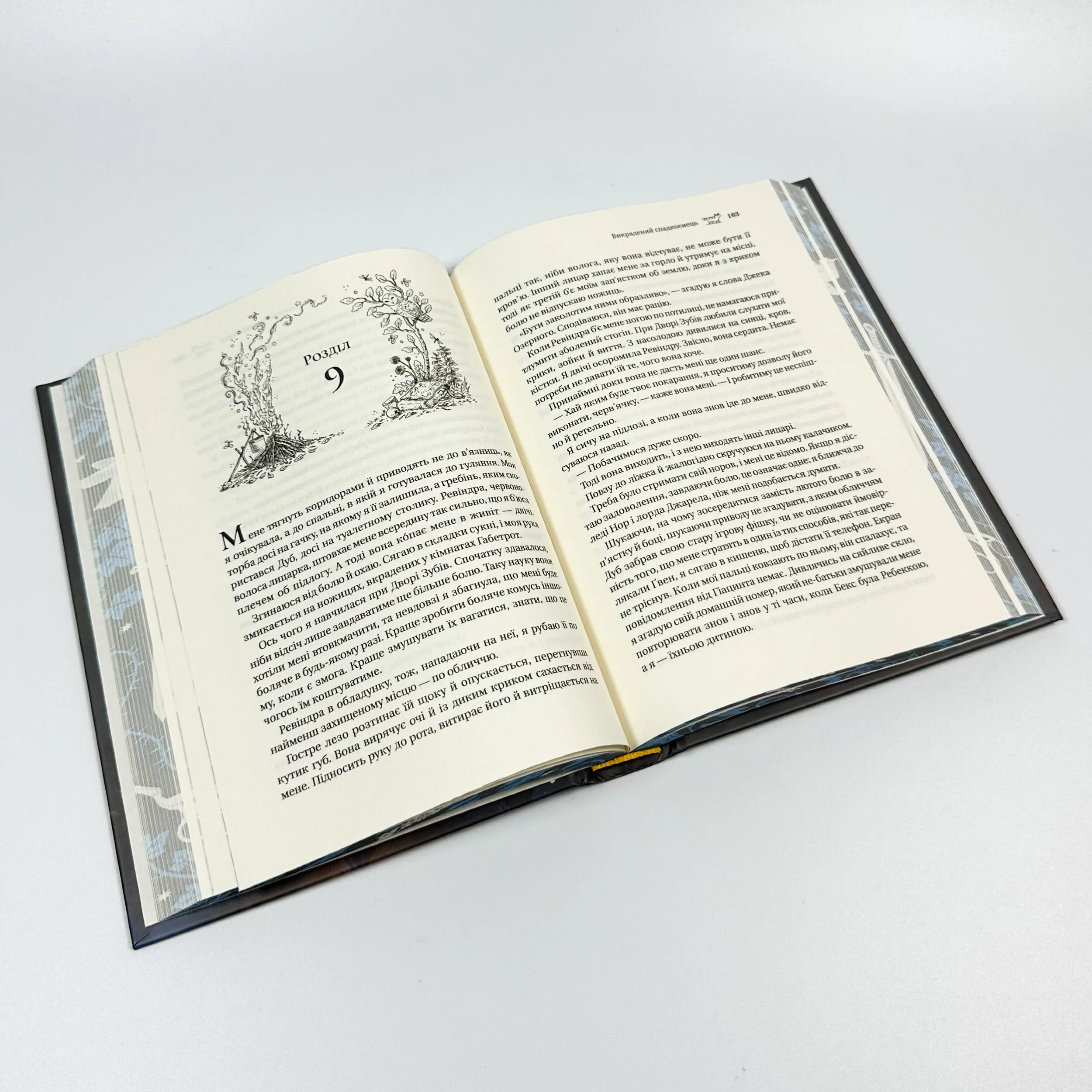 Викрадений спадкоємець. Автор — Голлі Блек. 