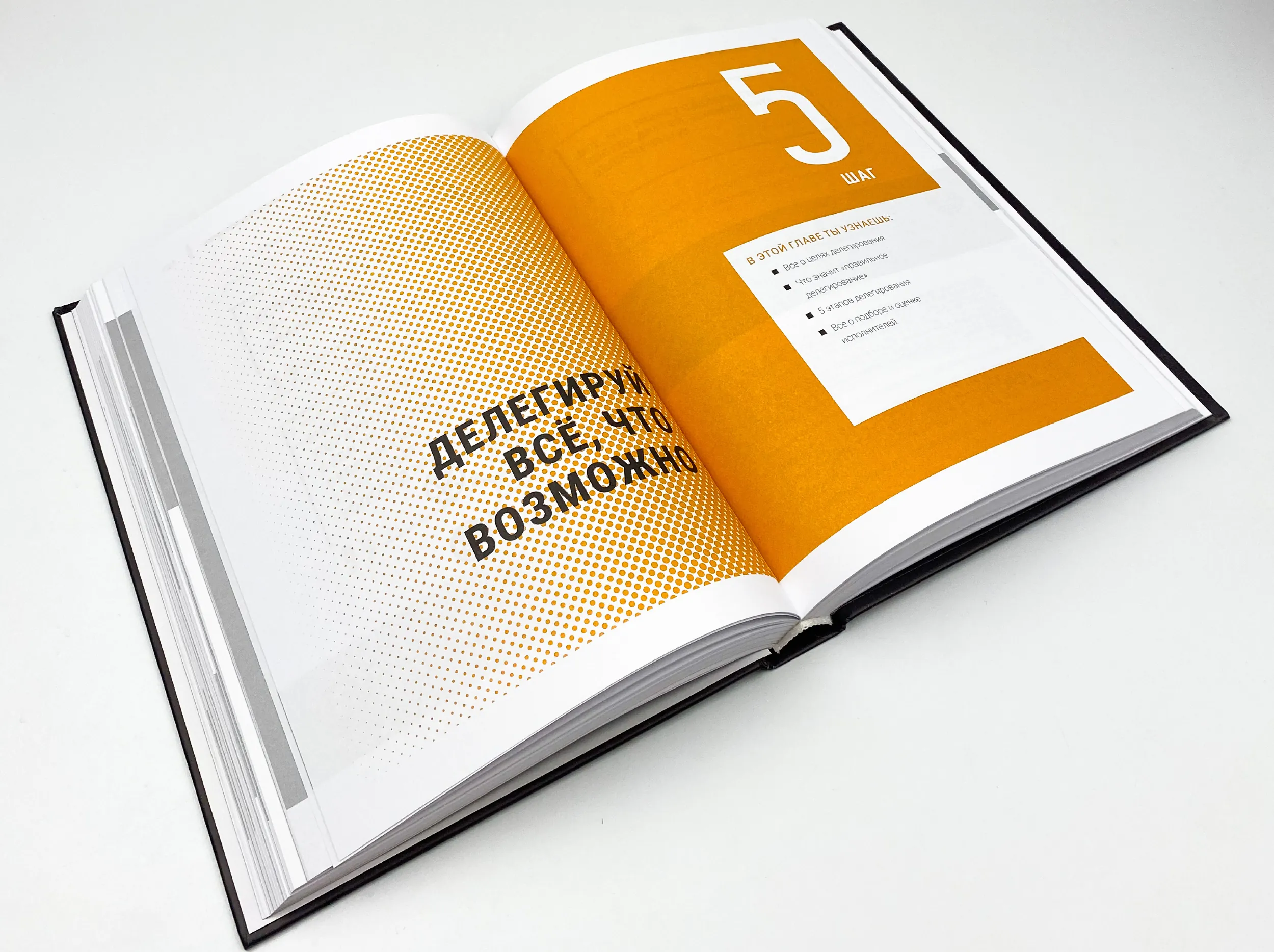 Жизнь без лени и прокрастинации. Автор — Ицхак Пинтосевич. 