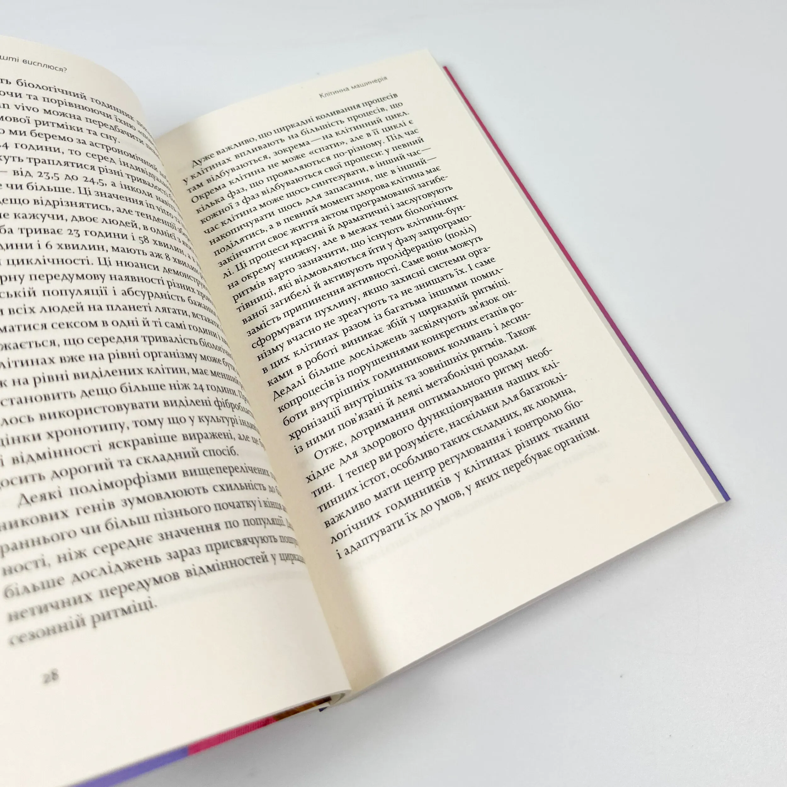 Коли я нарешті висплюся. Автор — Ольга Маслова, Ника Бельская. 