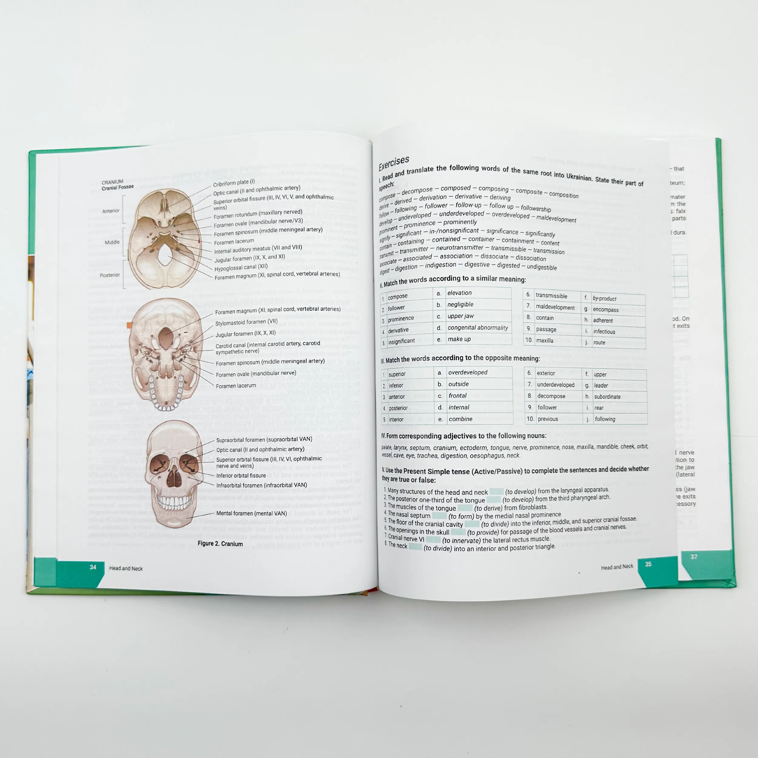 First Step into Medical English . Автор — Содомора П. А.. 