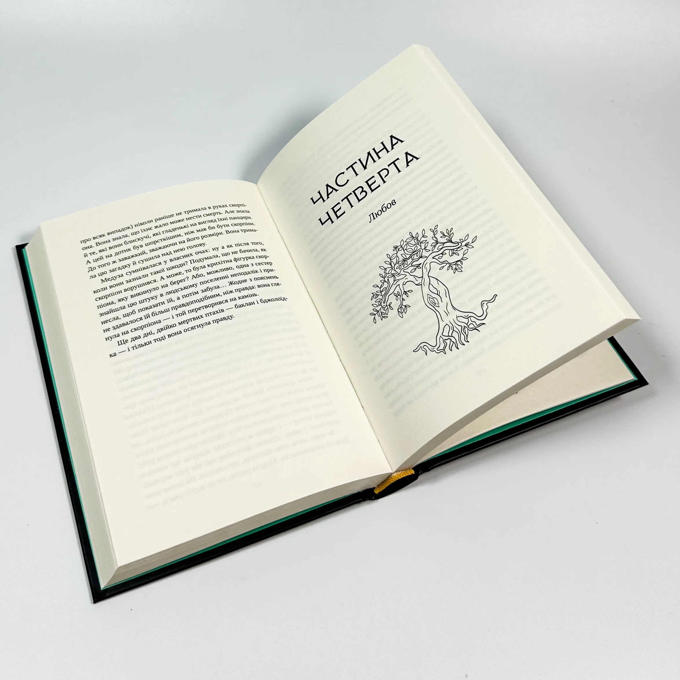 Сліпа лють. Автор — Наталі Гейнс. 