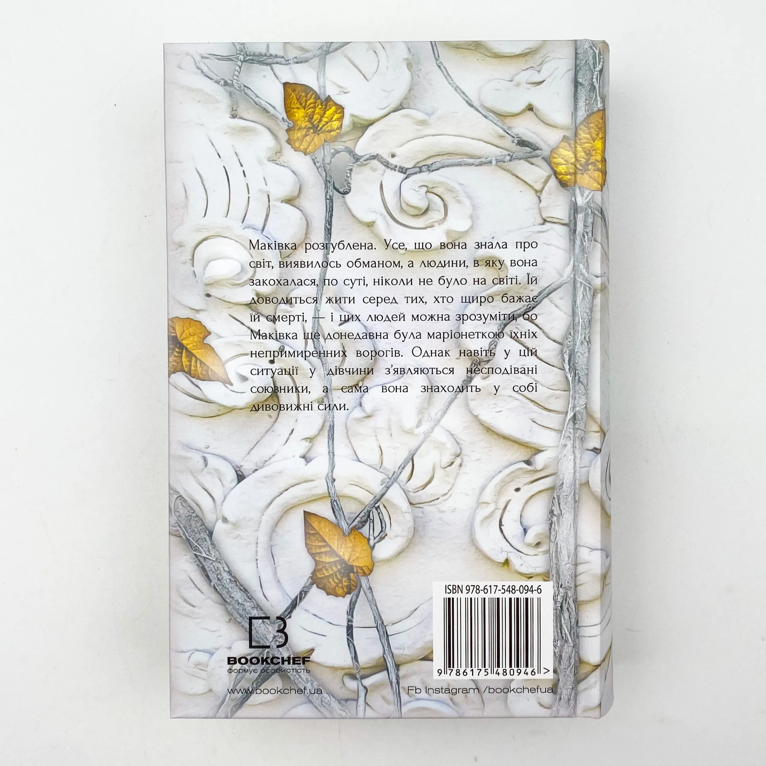 Кров і попіл: Королівство плоті й вогню. Автор — Дженніфер Л. Арментраут. 