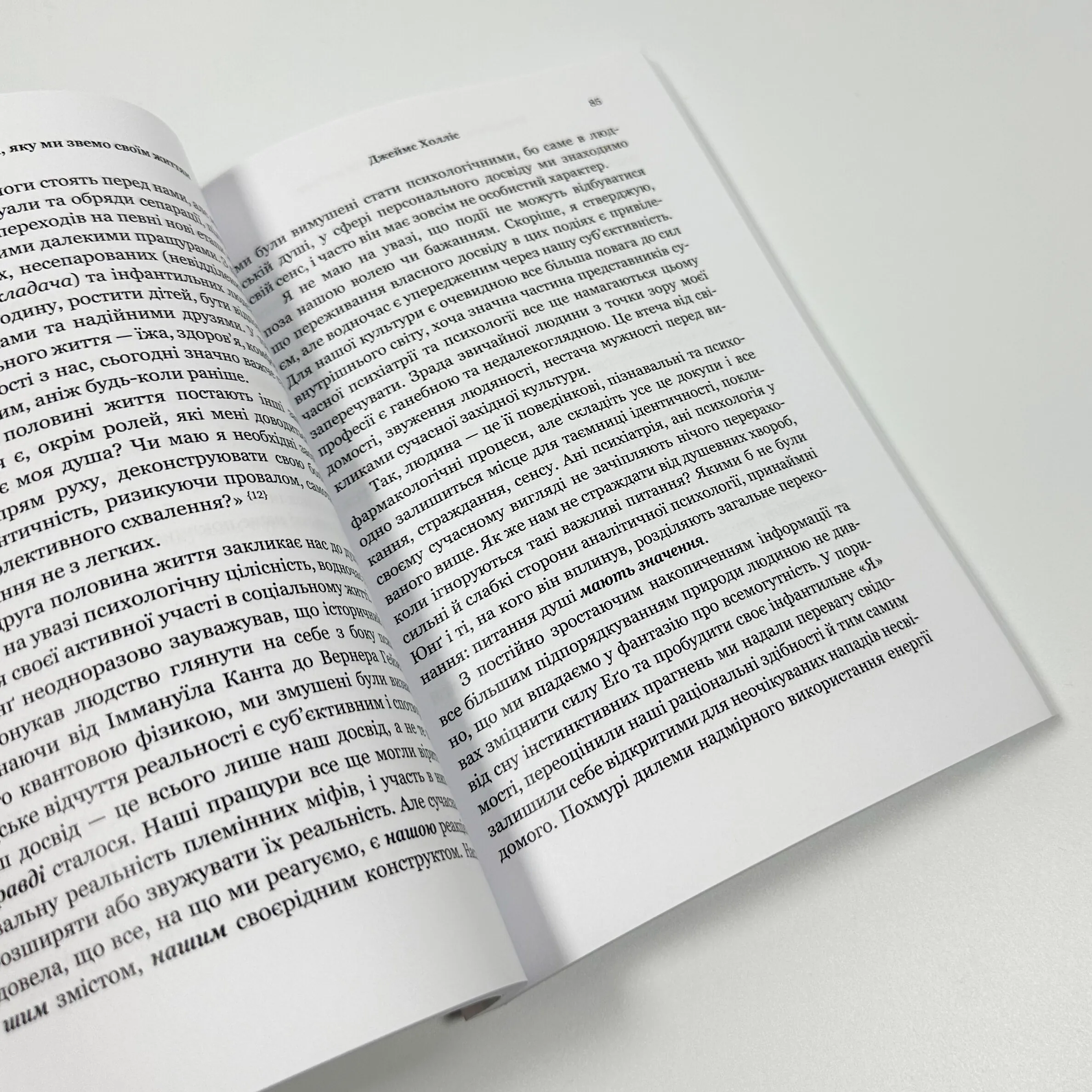 Мандрівка, яку ми звемо своїм життям: питання, які варто прожити. Автор — Джеймс Холліс. 