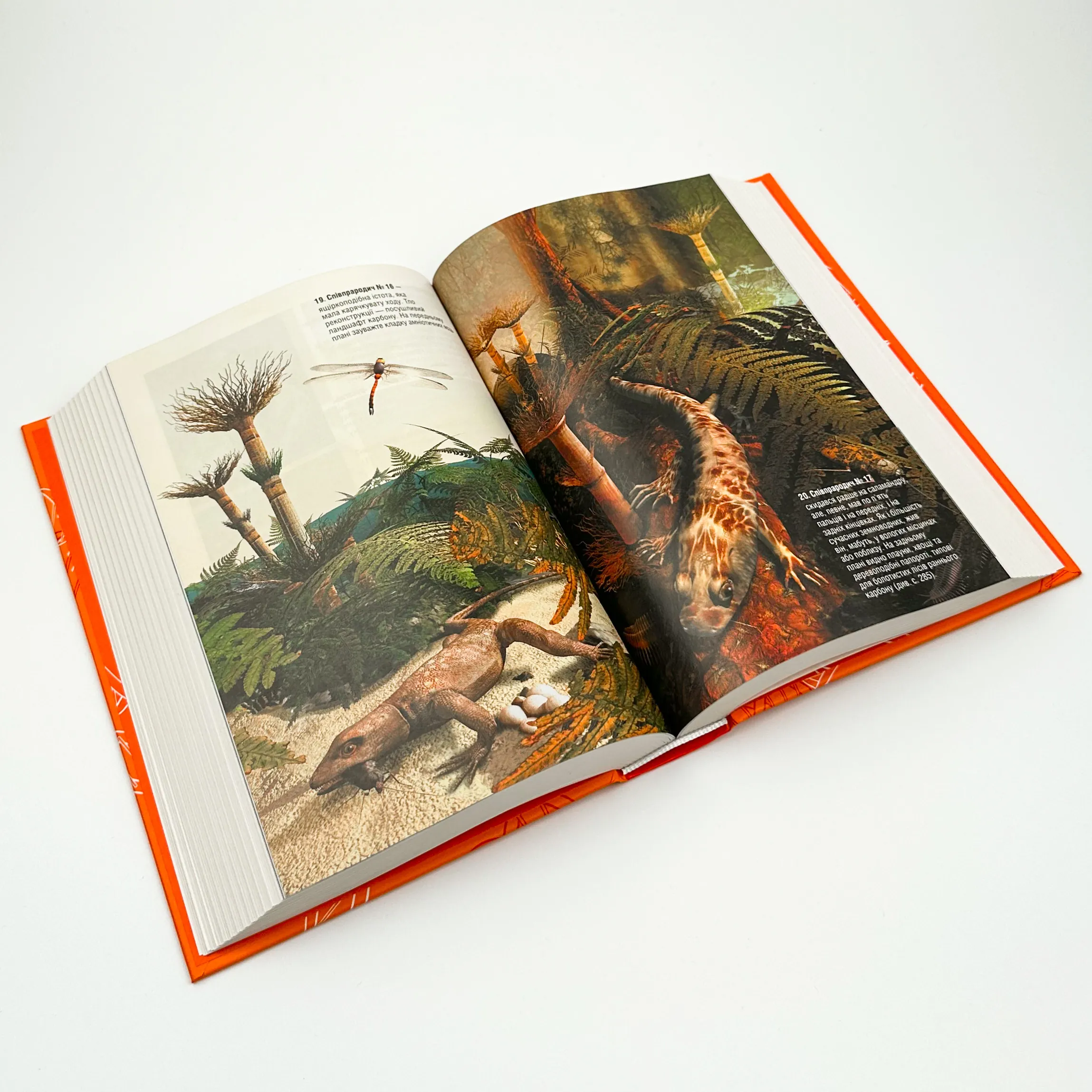 Оповідь предка. Історія створення людства. Автор — Річард Докінз. 