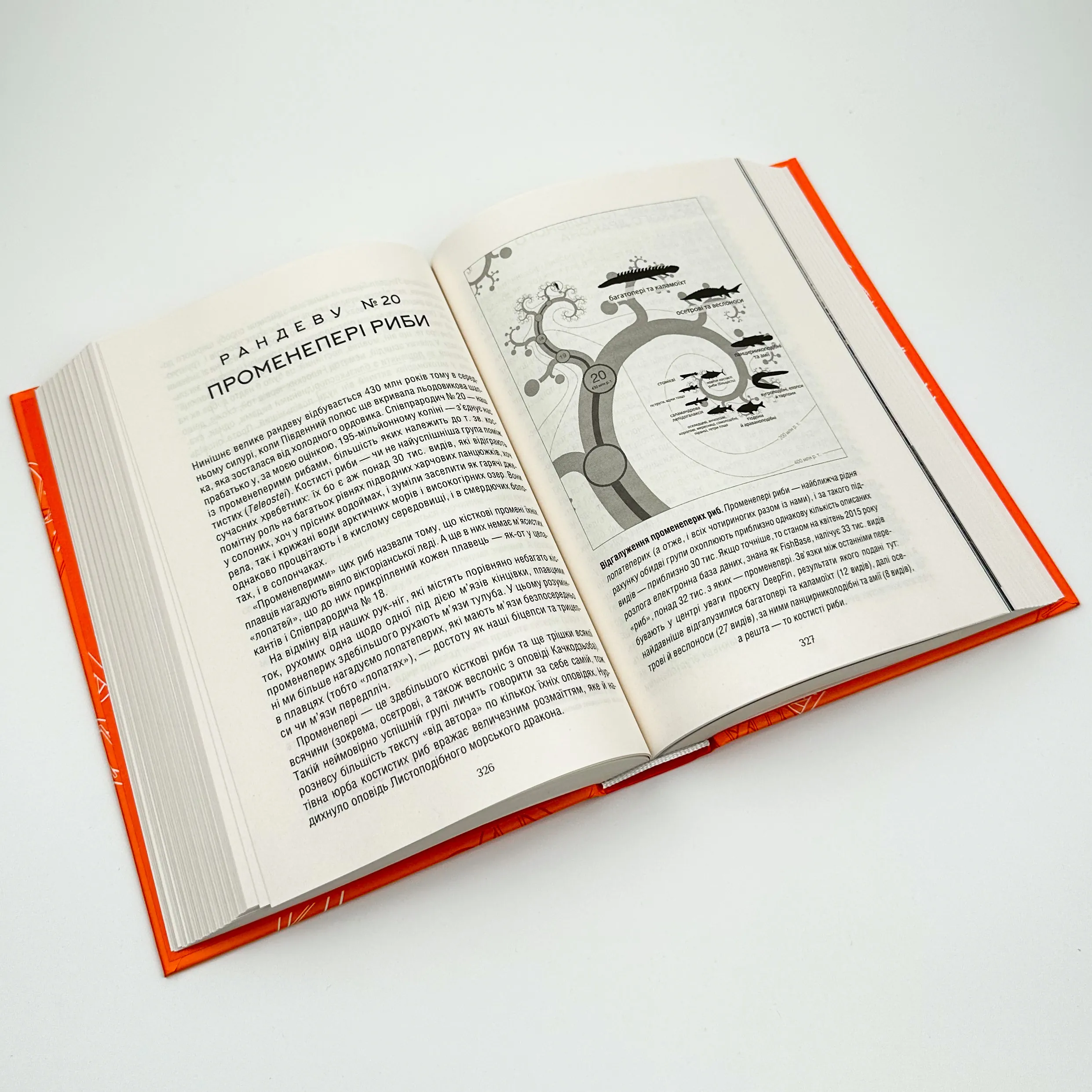 Оповідь предка. Історія створення людства. Автор — Річард Докінз. 