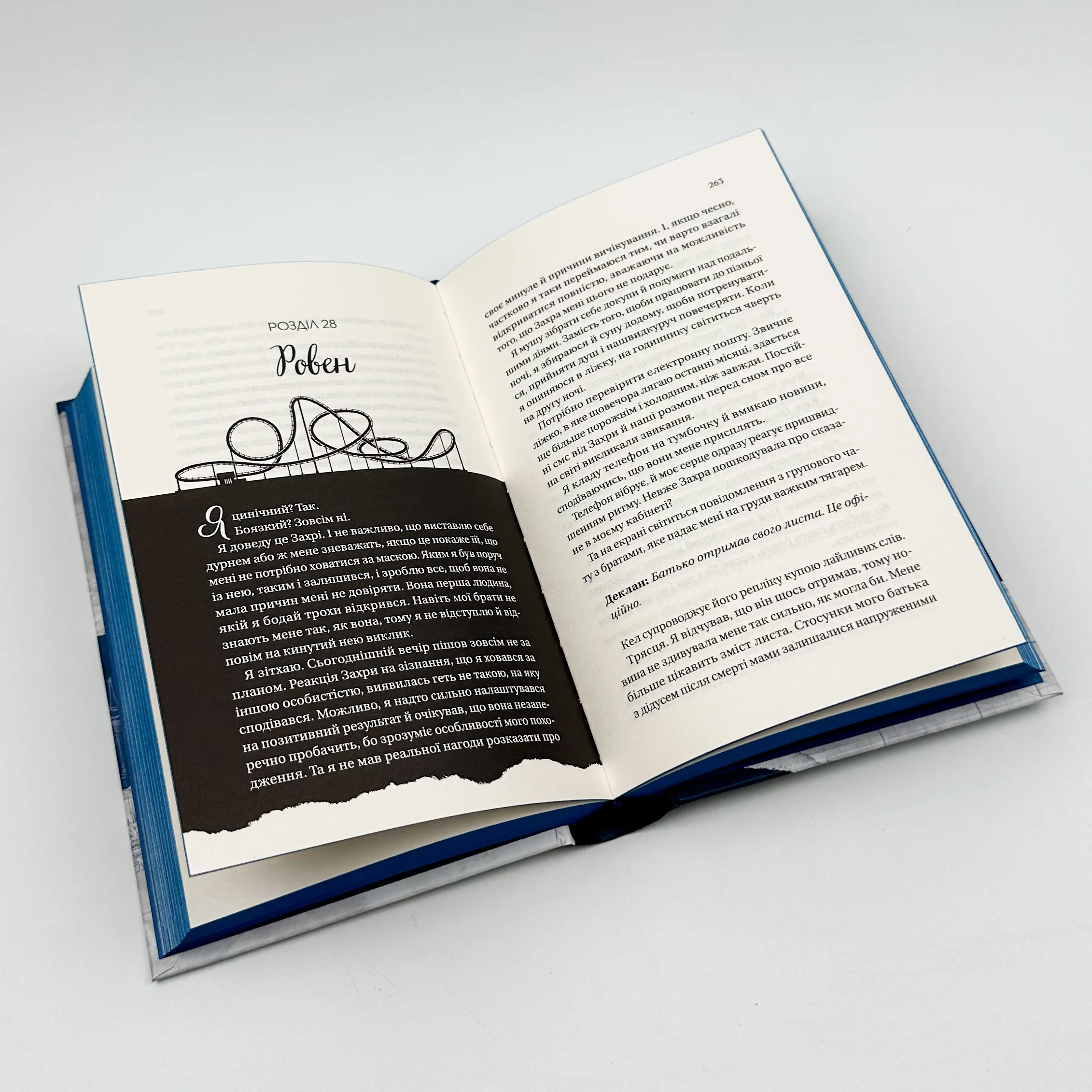 Дрібним шрифтом (Мільярдери з Дрімленду #1). Автор — Лорен Ашер. 